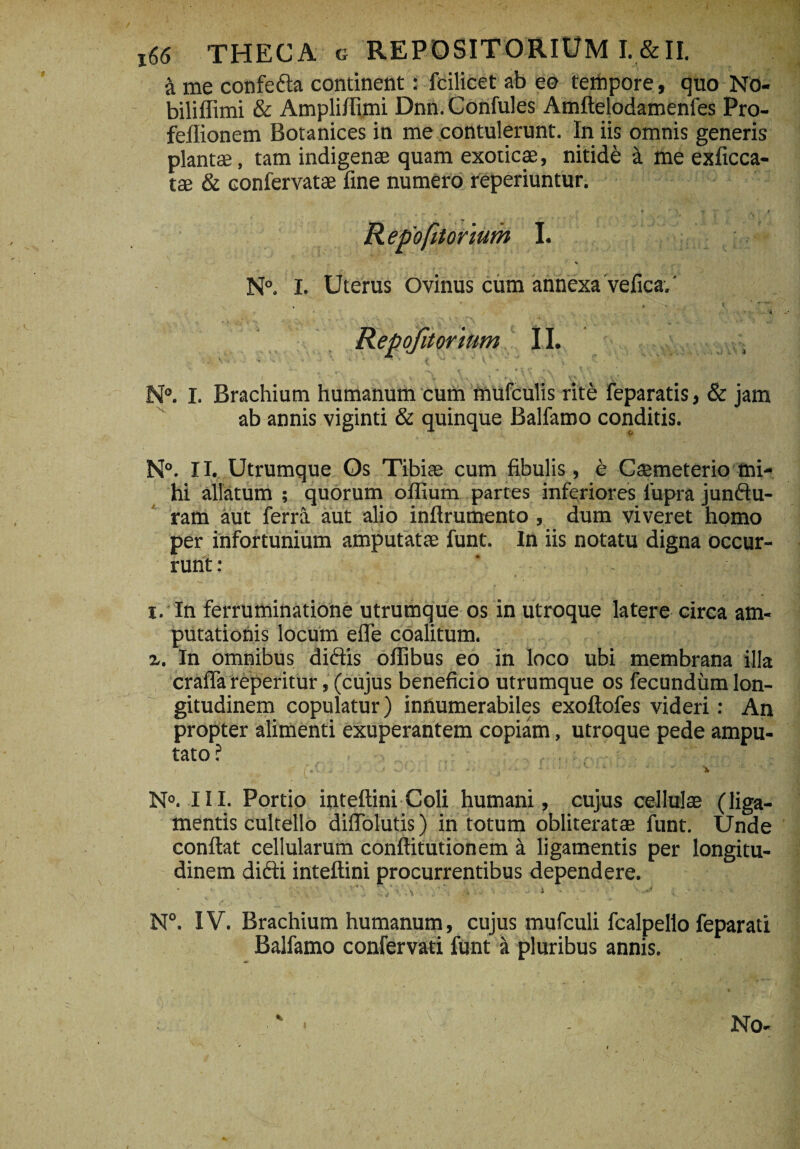 & me confe&a continent: fcilicet ab eo tempore, quo No- biliflimi & Ampliftimi Dnn.Confules Amftelodamenfes Pro- fellionem Botanices in me contulerunt. In iis omnis generis plantae, tam indigenae quam exoticae, nitide a me exficca- tae & confervatae fine numero reperiuntur. Repofitorlum I. N°. I. Uterus Ovinus cum annexa vefica.' » • 'V . t ■ \ Repofitorium II. N°. I. Brachium humanum cum mufculis rite feparatis, & jam ab annis viginti & quinque Balfamo conditis. N°. II. Utrumque Os Tibiae cum fibulis, e Caemeterio mi¬ hi allatum ; quorum offium partes inferiores lupra junftu- ram aut ferra aut alio inflrumento , dum viveret homo per infortunium amputatae funt. In iis notatu digna occur¬ runt : i. In ferruminatione utrumque os in utroque latere circa am¬ putationis locum eife coalitum. z. In omnibus diftis olfibus eo in loco ubi membrana illa crafla reperitur, (cujus beneficio utrumque os fecundum lon¬ gitudinem copulatur) innumerabiles exoftofes videri: An propter alimenti exuperantem copiam, utroque pede ampu¬ tato? rj. , > w:;. • - ’ ‘ ;'  1 ■ ” x N°. III. Portio inteftini Coli humani, cujus cellulae (liga¬ mentis cultello diflolutis) in totum obliteratae funt. Unde confiat cellularum conftitutionem a ligamentis per longitu¬ dinem difti inteftini procurrentibus dependere. , ' : V./ ' .'i ■ •  ■ i • ■ ■ ' . ■■ ■ > - N°. IV. Brachium humanum, cujus mufculi fcalpello feparati Balfamo confervati funt a pluribus annis. No-