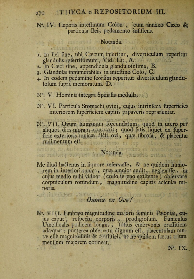 ' i ..j ♦ ' / . V. N°. IV. Leporis inteffinum Colon , cum annexo Caeco & particula Ilei, pedamento infiftens. . ' Notanda. > ' * , ■ J- r ..■•** *• - . . * . . , ) I . 1. In Ilei fine, ubi Caecum inferitur, diverticulum reperitur glandulis refertiffimum, Vid. Lit.. A. 2. In C laeci fine, appendicula glandulofiffima, B. 3. Glandulae innumerabiles in intefiino Colo, C. 4. In eodem pedamine feorfim reperitur diverticulum glandu- lofum fupra memoratum. D. N°. V. Hominis integra Spinalis medulla. x * 1 * N°. VI. Particula Stomachi ovini, cujus intrinfeca fuperficies interiorem fuperficiem capitis papaveris repraefentat. N°. VII. Ovum humanum foecundatum, quod in utero per aliquot dies moram contraxit; quod fatis liquet ex fuper- ficie exterioris tunicae didti ovi, quae fibrofa, & placentae rudimentum elb ; • /• . ' • '* ? K* 5 . • ' > * •' ■* wV * r • JUH* f \ ♦. t i '* ' •' •' r. T\ \ J V»?.•; r ' C' ‘ ' ■ . r, f . .v, Notanda. . ■ * ' i 71 ' u fcJ «y><3va^J - • Ctfc Me illud haftenus in liquore refervafie, & ne quidem humo¬ rem in interiori tunica, quae amniqs audit, neglexi (Te , in cujus medio mihi videor (coelo fereno exillente ) obfervare corpufculum rotundum, magnitudine capitis aciculae mi¬ noris. ' v £ t «t r ** • f f, ‘ . - j'. . ., / ■ ■ ■ i «... r - ■ ; , *t . , 4 “|* • < . . ' ‘ ' f . ' ■ . ’ ' ; ' . Omma ex Ove/, N'\ VIII. Embryo magnitudine majoris feminis Paeoniae, cu¬ jus caput, refpe&u corporis , prodigiofum. Funiculus Umbilicalis pollicem longus, totius embryonis craffitiem ada;quat; praeterea obfervatu dignum eft, placentulam tan- ■ tae efie magnitudinis & craffitiei, ut ne quidem foetus trium menfium majorem obtineat.