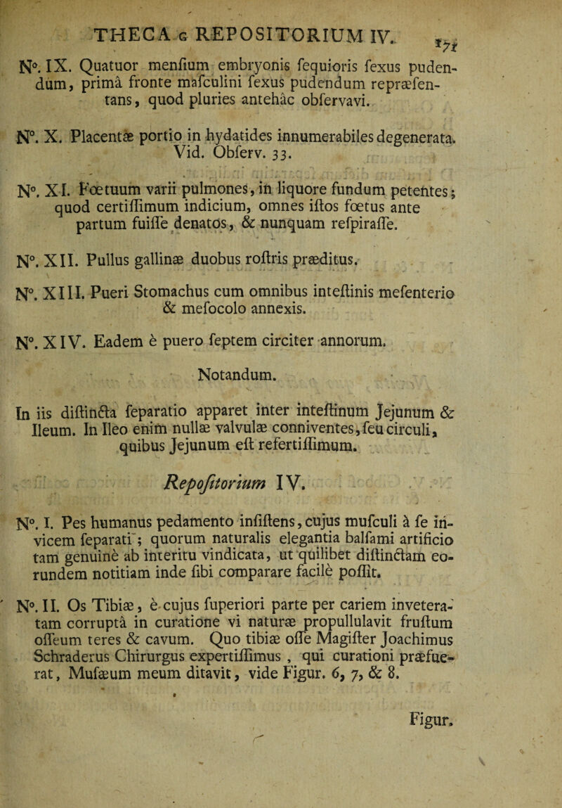 N°. IX. Quatuor menfium embryonis fequioris fexus puden¬ dum, prima fronte mafculini fexus pudendum reprsefen- tans, quod pluries antehac obfervavi. N°. X. Placentae portio in hydatides innumerabiles degenerata. Vid. Obferv. 33. •J **.*•., • «... # - ^ 1 i • • . - 4 I . '* 4. j. ^ ^ 4 N°. XI. Foetuum varii pulmones, in liquore fundum petentes quod certillimum indicium, omnes iftos foetus ante partum fuifle denatos, & nunquam refpirafle. N°. XII. Pullus gallinae duobus roftris praeditus. N°. X111. Pueri Stomachus cum omnibus inteflinis mefenterio & mefocolo annexis. Notandum. In iis diftinfta feparatio apparet inter inteftinum Jejunum & Ileum. In Ileo enim nullae valvulae conniventesi,feucirculi, quibus Jejunum eft refertiffimum. Repojitorium IV. N°. I. Pes humanus pedamento infiftens, cujus mufculi a fe in¬ vicem feparati'; quorum naturalis elegantia balfami artificio tam genuine ab interitu vindicata, ut quilibet dillinctam eo¬ rundem notitiam inde fibi comparare facile poflit. N°. II. Os Tibiae, e-cujus fuperiori parte per cariem invetera¬ tam corrupta in curatione vi naturae propullulavit fruftum offeum teres & cavum. Quo tibiae ofle Magifter Joachimus Schraderus Chirurgus expertiiTnnus , qui curationi praefue¬ rat , Mufaeum meum ditavit, vide Figur. 6, 7, & 8. • A