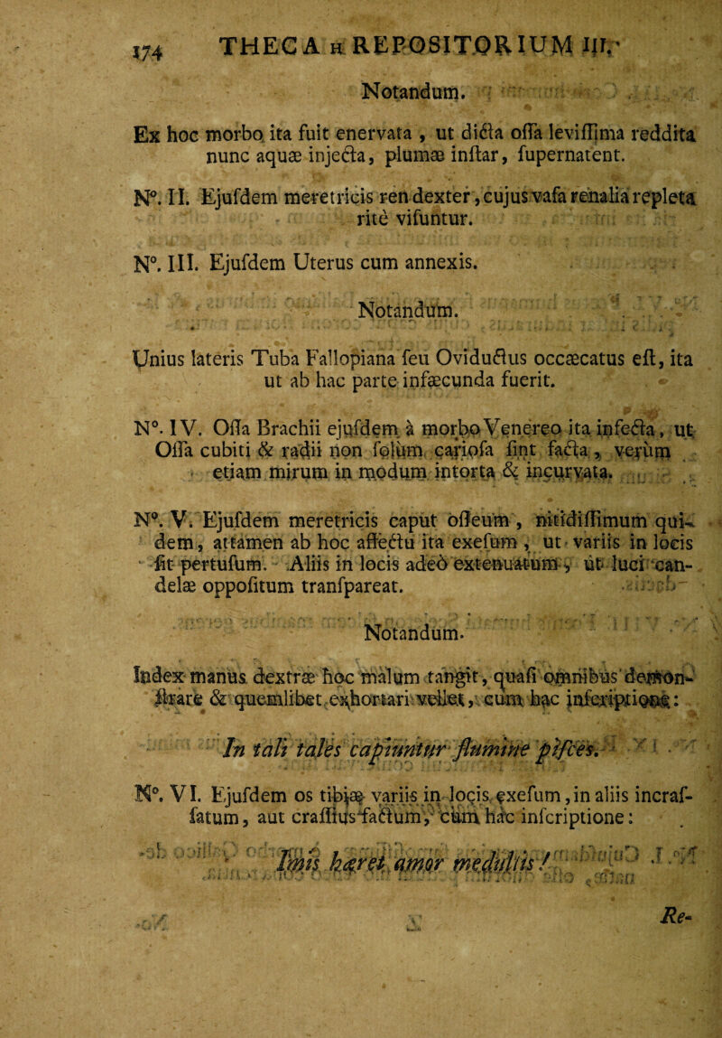 Notandum. Ex hoc morbo ita fuit enervata , ut didla offa levifljma reddita nunc aquae injefta, plumae inftar, fupernatent. N°. II. Ejufdem meretricis ren dexter, cujus vafa renalia repleta rite vifuntur. N°. III. Ejufdem Uterus cum annexis. Notandum. ' ' - ' * 1 - 1 , • . . r. « - * . . .-H- • .V >y r■ ■ o • l . • * - : vi •• ••v ^ . * * v.w' * CV- * •/ it.** . : J.^. ... i.:, i € ... . V . « V , ' . t > Jj, •... £ Unius lateris Tuba Fallopiana feu Oviduflus occaecatus eft, ita ut ab hac parte infaecunda fuerit. N°. IV. Olla Brachii ejufdem a morbo Venereo ita infefla, ut Ofla cubiti & radii non folum, caripfa fint fabta , yeyum . etiam mirum in modum intorta ^ incurvata. NVV. Ejufdem meretricis caput odeum , nitidiffimum qui-. dem , attamen ab hoc affectu ita exefum , ut variis in locis ■ fit pertufum. Aliis in locis adeb extenuatum ■, ut- luci can¬ delae oppofitum tranfpareat. . i- v • ** t ‘ '** * f r 7' • * * ■ ■ ••■--- . - * 1 Notandum. Index manus dextrae hoc rhal um tangit, cpiafi omriibus' demon- $rar& & quemlibet. esyhortarhveliut ,s cum h^c jnferiptiout: capiuntur irie ces. J N°. VI. Ejufdem os tibjai variis in locis exefum, in aliis incraf- fatum, aut crafltiisda(dum,‘ diam hac infcriptione: ■:J i -■ .) ji \ * ‘v • * ■■ ■*  •- * ■« i *-•' 'Jt - »- . 4v *• - - - i *.J ... ■ . c i x. l-f -i. % * f Jr .• f * «V ?• • - f- • .-V »- J Hi • i ^ > 11 $ >, ” r x frltl&pW[U } t ol^t ♦ 5. * / 5, Y't r . 4. 5 jTV ^ i }* J>■*i { ? Re-