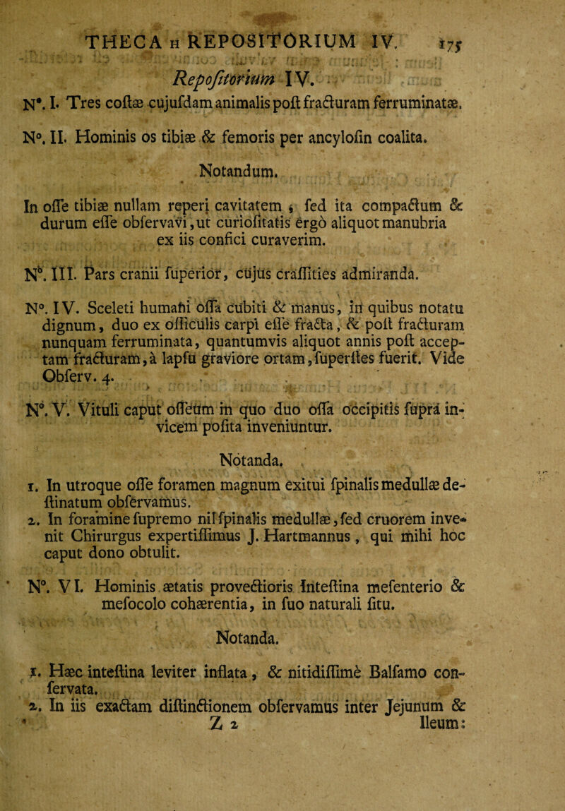 *■ - ■' '•  '4 ** ~ '■ “ ■ ' , * -• * - Jv Vf _ V. i Mfrit V ■ #V T * 4 * i f ■ ■ “ f Repofitofimn IV. • N*. I* Tres coftae cujufdam animalis poftfraduram ferruminatae. N°. II. Hominis os tibiae & femoris per ancylofin coalita. Notandum. • '-+ ■* ' ■ i ..: » t , ;i j ,jr. In ofle tibiae nullam reperi cavitatem j fed ita comparum & durum efle obfervavi,ut curiofitatis ergo aliquot manubria ex iis confici curaverim. N6. III. Pars cranii fuperior, cujus craflities admiranda. N°. IV. Sceleti humafii offa cubiti & manus, iri quibus notatu dignum, duo ex oiticulis carpi efle fracta, & poli fraduram nunquam ferruminata, quantumvis aliquot annis poft accep¬ tam fraduram, a lapfu graviore ortam, fuperfles fuerit. Vide Obferv. 4. , . ‘ t. . i • • '» v fc J v • * ? .  •' v *. v » • ■* • 1 - • 4 - • - . , - • 4- ‘ N°. V. Vituli caput ofleum in quo duo ofla occipitis fupra in¬ vicem pofita inveniuntur. Notanda. 1. In utroque ofle foramen magnum exitui fpinalis medullae de- ftinatum obfervamus. 2. In foraminefupremo nilfpinalis medullae,fed cruorem inve¬ nit Chirurgus expertiffimus J. Hartmannus, qui mihi hoc caput dono obtulit. N°. VI. Hominis aetatis provedioris Inteftina mefenterio 8c mefocolo cohaerentia, in fuo naturali fitu. Notanda. 1. Haec inteftina leviter inflata, & nitidiflime Balfamo con- fervata. a. In iis exadam diftindionem obfervamus inter Jejunum & • Z 2 Ileum: