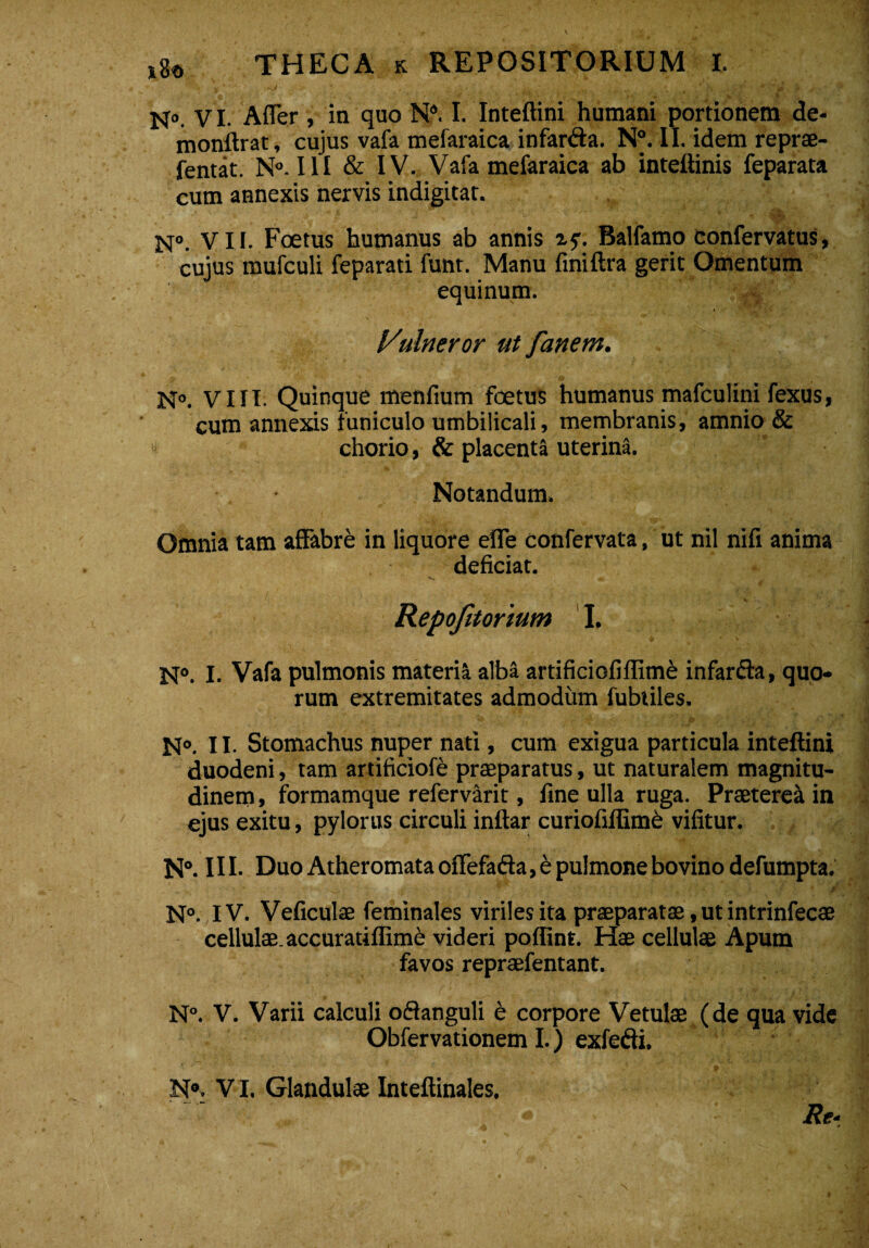 N°. VI. Affer, in quo N°. I. Inteftini humani portionem de- monftrat, cujus vafa mefaraica infanfta. N°. II. idem reprae- jentat. N°-I1I & IV. Vafa mefaraica ab inteftinis feparata cum annexis nervis indigitat. N°. VII. Foetus humanus ab annis r<;. Balfamo confervatus, cujus mufculi feparati funt. Manu finiftra gerit Omentum equinum. Vulneror ut fanem. N°. VIII. Quinque menfium foetus humanus mafeulini fexus, cum annexis funiculo umbilicali, membranis, amnio & « chorio, & placenta uterina. Notandum. Omnia tam affabre in liquore effe confervata, ut nil nifi anima deficiat. Repofitorium I. N°. I. Vafa pulmonis materia alba artificiofiffime infardta, quo¬ rum extremitates admodum fubtiles. N°. 11- Stomachus nuper nati, cum exigua particula inteftini duodeni, tam artificiofe praeparatus, ut naturalem magnitu¬ dinem , formamque refervarit, fine ulla ruga. Praeterea in ejus exitu, pylorus circuli inftar curiofiftime vifitur. N°. 111. Duo Atheromata offefafta, e pulmone bovino defumpta. N°. IV. Veficulae feminales viriles ita praeparatae, ut intrinfecae cellulae, accuratiffim^ videri poflint. Hae cellulae Apum favos repraefentant. N°. V. Varii calculi oftanguli e corpore Vetulae (de qua vide Obfervationem I.) exfedi, N°. VI. Glandulae Inteftinales. ,» - ' Re-