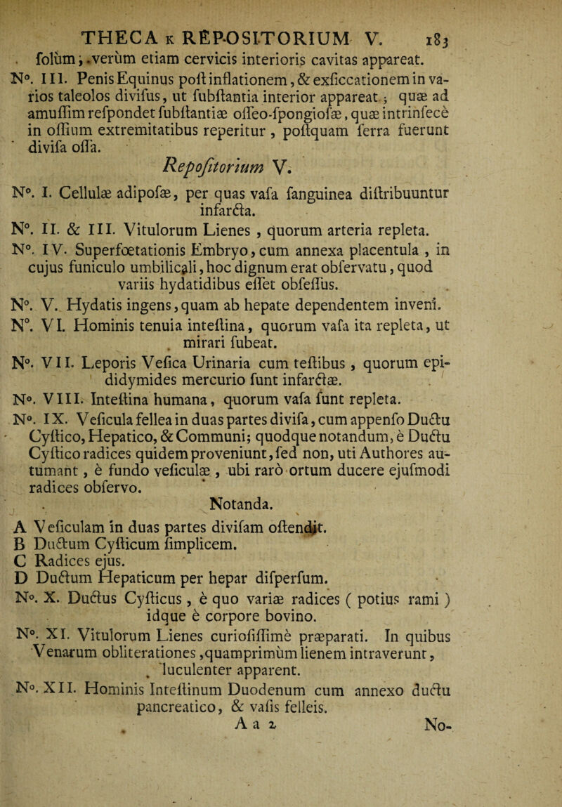 foliim 'y .verum etiam cervicis interioris cavitas appareat. N°. III. Penis Equinus poft inflationem, &exficcationem in va¬ rios taleolos divifus, ut fubftantia interior appareat; quae ad amuflim refpondet fubflantiae offeo-fpongiofae, quse intrinfece in oflium extremitatibus reperitur , poftquam ferra fuerunt divifa ofla. Repofitormm V. N°. I. Cellulse adipofae, per quas vafa fanguinea diftribuuntur infarda. N°. II. & III. Vitulorum Lienes , quorum arteria repleta. N°. IV. Superfoetationis Embryo, cum annexa placentula , in cujus funiculo umbilicali,hoc dignum erat obfervatu, quod variis hydatidibus eflet obfeffus. N°. V. Hydatis ingens,quam ab hepate dependentem inveni. N°. VI. Hominis tenuia inteftina, quorum vafa ita repleta, ut mirari fubeat. N°- VII. Leporis Vefica Urinaria cum teftibus, quorum epi- didymides mercurio funt infardae. N°. VIII. Inteftina humana, quorum vafa funt repleta. N°. IX. Veficula fellea in duas partes divifa, cum appenfoDudu Cyftico, Hepatico, & Communi; quodque notandum, e Dudu Cyftico radices quidem proveniunt, fed non, uti Authores au¬ tumant , e fundo veficulae , ubi raro ortum ducere ejufmodi radices obfervo. Notanda. A V eficulam in duas partes divifam oftendit. B Dudum Cyfticum fimplicem. C Radices ejus. D Dudum Hepaticum per hepar difperfum. N°. X. Dudus Cyfticus, e quo variae radices ( potius rami ) idque e corpore bovino. N°. XI. Vitulorum Lienes curioliflime praeparati. In quibus Venarum oblitera dones,quamprimum lienem intraverunt, luculenter apparent. N°. XII. Hominis Inteftinum Duodenum cum annexo dudu pancreatico, & vafis felleis. A a x No-