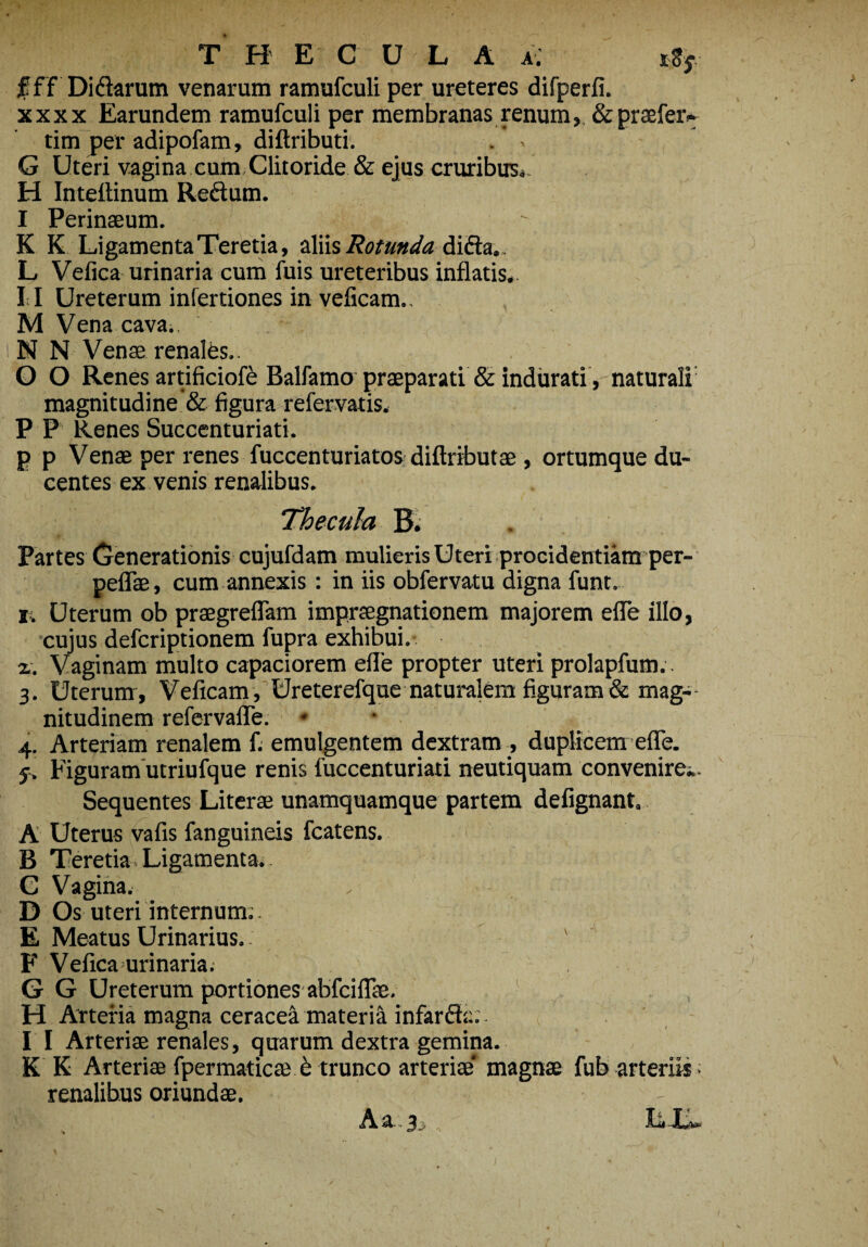 T H E C U L A a. *% f fT Didarum venarum ramufculi per ureteres difperfi. xxxx Earundem ramufculi per membranas renum» & praefer.* tim per adipofam, diflributi. G Uteri vagina cum Clitoride & ejus cruribus*. H Intettinum Redum. I Perinaeum. K K Ligamenta Teretia, aliis Rotunda dida.. L Vefica urinaria cum fuis ureteribus inflatis, I I Ureterum infertiones in veficam.. M Vena cava.. N N Venae renales.. O O Renes artificiofe Balfamo praeparati & induratinaturali magnitudine & figura refervatis. P P Renes Succenturiati. p p Venae per renes fuccenturiatos diftributae, ortumque du¬ centes ex venis renalibus. Thecula B. . Partes Generationis cujufdam mulieris Uteri procidentiam per- peflae, cum annexis : in iis obfervatu digna funt. i. Uterum ob praegreflam impraegnationem majorem efle illo, cujus defcriptionem fupra exhibui. %. Vaginam multo capaciorem efle propter uteri prolapfum.. 3. Uterum , Veficam , Ureterefque naturalem figuram & mag¬ nitudinem refervafle. 4. Arteriam renalem fi emulgentem dextram , duplicem efle. j. Figuram utriufque renis fuccenturiati neutiquam convenire.. Sequentes Literae unamquamque partem defignant, A Uterus vafis fanguineis fcatens. B Teretia■ Ligamenta.. G Vagina. D Os uteri internum.. E Meatus Urinarius. F Vefica urinaria. G G Ureterum portiones abfciflae. H Arteria magna ceracea materi^ infardc. I I Arteriae renales, quarum dextra gemina. K K Arteriae fpermaticae & trunco arteriae* magnae fub arteriis ■ renalibus oriundae. Aaj, r