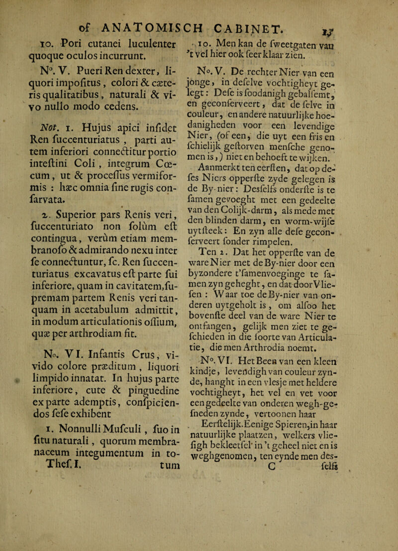 i io. Pori cutanei luculenter quoque oculos incurrunt. N°. V. Pueri Ren dexter, li¬ quori impofitus , colori & cete¬ ris qualitatibus, naturali & vi¬ vo nullo modo cedens. Not. i. Hujus apici infidet Ren fuccenturiatus , parti au¬ tem inferiori conneftitur portio inteftini Coli , integrum Coe- cum, ut & procefTus vermifor¬ mis : haec omnia fine rugis con- farvata. • x. Superior pars Renis veri, fuccenturiato non foliim eft contingua, verhm etiam mem- branofo & admirando nexu inter fe conneftuntur, fc. Ren fuccen¬ turiatus excavatus eft parte fui inferiore, quam in cavitatermfu- premam partem Renis veritan- quam in acetabulum admittit, in modum articulationis offium, quae per arthrodiam fit. No. VI. Infantis Crus, vi¬ vido colore praeditum , liquori limpido innatat. In hujus parte inferiore, cute & pinguedine exparte ademptis, confpicien- dos fefe exhibent i. Nonnulli Mufculi, fuoin fitu naturali, quorum membra¬ naceum integumentum in to- Thef. I. tum ' io. Men kan de fweetgaten van *t vel hier ook feerklaar zien. No. V. De rechterNier van een jonge, in defclve vochtigheyt ge- legt: Defe is foodanigh gebalfemtj en geconferveert, dat de felve in couleur, en andere natuurli jke hoe- danigheden voor een levendige Nier, (ofeen, die uyt eenfrisen fchielijk geftorven menfche geno- men is,) niet en behoeft te wijken. Aanmerkt ten eerflen, dat op de- fes Nicrs opperfte zyde gelegen is de By-nier: Desfelfs onderlle is te famen gevoeght met een gedeelte van denColijk-darm, ais mede met den blinden darm, en wornvwijfe uytfleek: En zyn alie defe gecon¬ ferveert fonder rimpelen. Ten 2. Dat het opperfle van de wareNier met deBy-nier door een byzondere tTamenvoeginge te fa¬ men zyn geheght, en dat doorVlie- fen : Waar toe deBy-nier van on- deren uytgeholt is, om alfoo het bovenfle deel van de ware Nier te ontfangen, gelijk men ziet te ge- fchieden in die foorte van Articula- tie, die men Arthrodia noemt. N°. VI. HetBeea van een ldeen kindje, leveildigh van couleur zyn- de, hanght in een vlesje met heldere vochtigheyt, het vel en vet voor een gedeelte van onderen wegh-ge- fneden zynde, vertoonen haar Eerltelijk.Eenige Spieren,inhaar natuurlijke piaatzen, welkers vlie- figh bekleetfel* in ’t geheel niet en is weghgenomen, teneyndemen des- C felfi