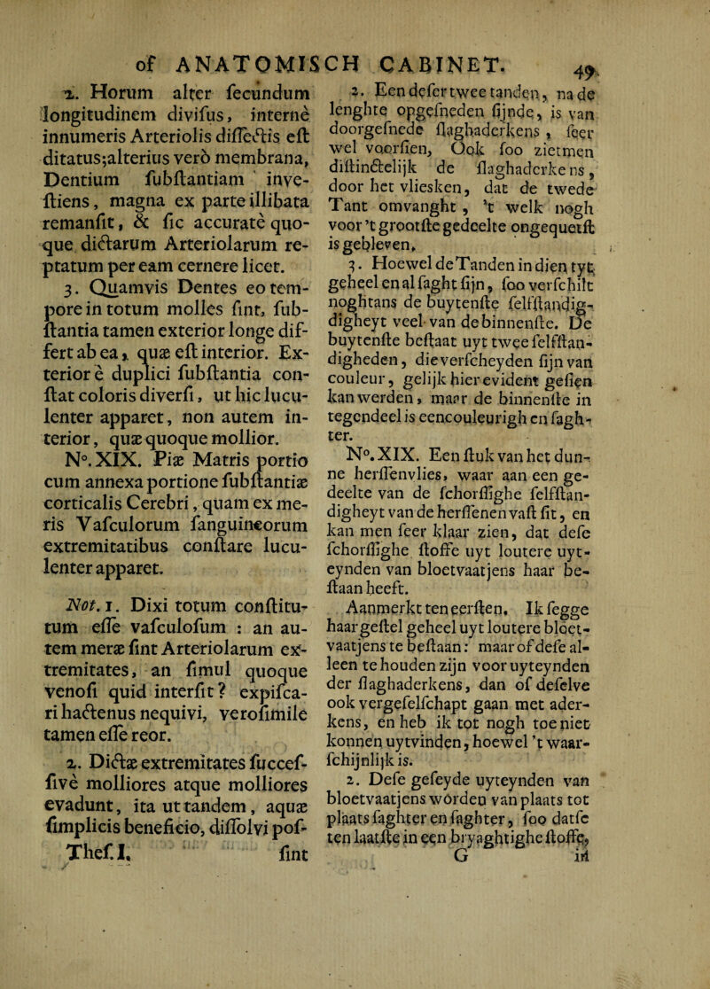 z. Honim alter fecundum longitudinem divifus, interne innumeris Arteriolis difleftis eft ditatus;alterius verb membrana, Dentium fubftantiam inve- ftiens, magna ex parte illibata remanfit, & fic accurate quo¬ que diftarum Arteriolarum re¬ ptatum peream cernere licet. 3. Quamvis Dentes eo tem¬ pore in totum molles fint, fub- ftantia tamen exterior longe dif¬ fert ab ea * quae eft interior. Ex¬ terior e duplici fubftantia con¬ flat coloris diverfi, ut hic lucu¬ lenter apparet, non autem in¬ terior, quse quoque mollior. N°. XIX. Piae Matris portio cum annexa portione fubftantiae corticalis Cerebri, quam ex me¬ ris Vafculorum fanguincorum extremitatibus conflare lucu¬ lenter apparet. Not. 1. Dixi totum conflitu^ tum efle vafculofum : an au¬ tem merae fint Arteriolarum ex¬ tremitates, an fimul quoque venofi quid interfit ? expifca- ri ha&enus nequivi, verolimile tamen elle reor. z. Di&ae extremitates fuccef- five molliores atque molliores evadunt, ita ut tandem, aquae fimplicis beneficio, diflblvi pof- Thef.l, fint 49 2. Een defer twee tanden ^ na de lenghte opgefneden fijnde, is van doorgefnede flaghaderkens * feer wel vaorfien, Qok foo zietmen diftin&elijk de flaghaderke ns , door het vliesken, dat de twede Tant omvanght , *t welk nogh voor’tgroQtftegedeelte ongequetft is gebleven, 3. HoeweldeTandenindientyt; gehqel en al fagbt fijn , foo vqrfchift noghtans de buytenfte felfftandig- digheyt veel van debinnenfte. De buytenfie beftaat uyt twqe felfftan- digheden, dieverfcheyden fijnvan couleur, gelijk hierevident gefiqn kan werden s tnaar de binrienlle in tegendeel is eencouleurigh en fagh- ter. N°.XIX. Eenftuk vanhet dun-. ne herilenvlies, waar aan een ge- deelte van de fchorffighe felfftan- digheyt vandeherfTenenvaftfit, en kan men feer klaar zien, dat defe fchorfiighe ItofFe uyt loutere uyt- eynden van bloetvaatjens haar be- ftaan heeft. Aanmerkt ten qerften, Ik fegge haar geftel geheel uyt loutere bloet¬ vaatjens te beftaan: maar of defe al- leen tehoudenzijn vooruyteynden der faghaderkens, dan of defelve ook vergefelfchapt gaan met ader- kens, enheb ik tot nogh toeniet konnen uy tvinden, hoewel 't waar- fchijnlijkis. 2. Defe gefeyde uyteynden van bloetvaatjens wOrdeo vanplaats tot plaats faghter en (aghter, foo datfc ten laatfte in een bryaghtighe ftoflfe* G iri