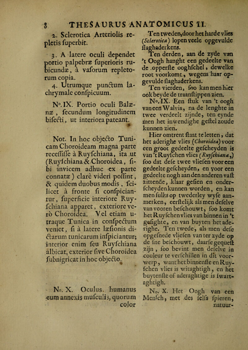 z. Sclerotica Arteriolis re¬ pletis fuperbit. 3. A latere oculi dependet portio palpebrae fuperioris ru¬ bicundae, a vaforum repleto¬ rum copia. 4. Utrumque punftum la- chrymale confpicuum. N°. IX. Portio oculi Balae¬ nae , fecundum longitudinem bifedti, ut interiora pateant. Not. In hoc objefto Tuni¬ cam Choroideam magna parte recefMe a Ruyfchiana, ita fut (Ruylchiana & Choroidea, fi- bi invicem adhuc ex parte connatae) clare videri poflint, & quidem duobus modis , fci- licet a fronte fi confpician- tur, fuperficie interiore Ruy¬ fchiana apparet, exteriore ve¬ ro Choroidea. Vel etiam u- traque Tunica in confpeftum veniet, fi a latere laefionis di¬ ctarum tunicarum infpiciantur; interior enim feu Ruyfchiana albicat, exterior five Choroidea fubnigricat in hoc objefto. No. X. Oculus, humanus cum annexis mufculis, quorum color T en tweden,door het harde vlies {Sclerotica) lppenYeele opgevulde flaghaderkens. Ten derdcn, aan dc zyde van T Oogh hanght een gedeelte van de .opperfte ooghfchel > dewelke root voorkomt * wegensbaar op¬ gevulde flaghaderkens. Ten vierden, foo kan men hier ookbeyde de traanftippen zien. No. IX. Een ftuk van ’t oogh vaneen Walvis, na de lenghte in twee verdeelt zijnde, ten eynde men het inwendighe geflel zoude kunnen zien. Hier omtrent flaat teletten, dat het aderighc vlies {Choroidea) voor een groot gedeelte gefcheyden is van ’tRuyfchen vlies {Ruyfchiana,) foo dat defe twee vliefen voor een gedeelte gefcheyden, en yoor een gedeelte nogh aan den anderen vafl: zittende, Idaar gefien en onder- fcheydenkunnen worden, en kan men fulks op twederley wyfe aan- merken, eerflelijk ais men defelvc vanvooren befchouwt, foo komt het Ruyfchen vlies van binnen in *t gefighte, en van buyten hetade- righe. Ten twede, ais men defe opgefnede vliefen van ter zyde op de fne befchouwt, daarfegequeft zijn , foo bevint men defelve in couleur te verfchillen in dit voor- werp, want het binnenfte en Ruy¬ fchen vlies is witaghtigh , en het buytenfteof aderaghtige is fwart- aghtigh. No. X. Het Oogh van een Menfch, met ,des felfs fpieren, natuur-