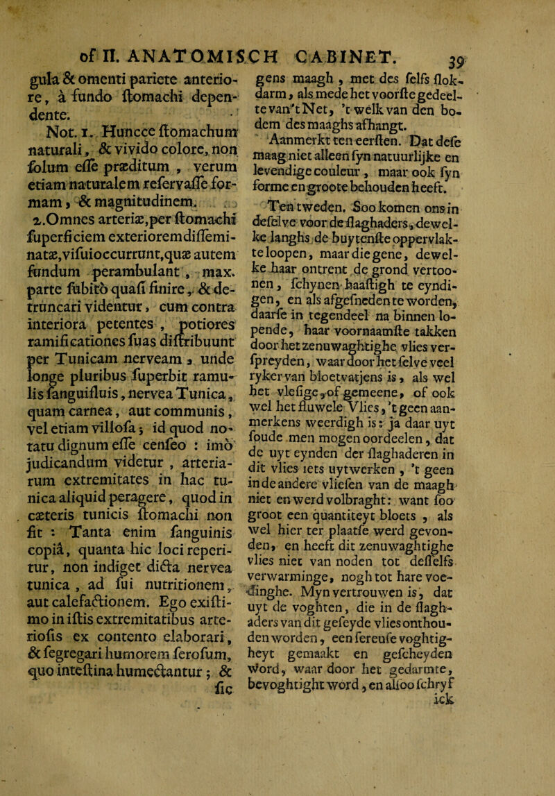 gula & omenti pariete anterio¬ re, a fundo ftomachi depen¬ dente. Not. i. Huncce ff omachum naturali, & vivido colore, non folum die praeditum , verum etiam naturalemrefervafle for¬ mam , & magnitudinem. x.Omnes arteriae,per ftomachi fuperficiem exterioremdiflemi- natae,vifuioccurrimt,quae autem fundum perambulant , max. parte ftbitbquafr finire, & de¬ truncari videntur > cum contra interiora petentes , potiores ramificationes fuas diftribuunt per Tunicam nerveam 3 unde longe pluribus fuperbit ramu¬ lis ianguifluis , nervea Tunica, quam carnea, aut communis, vel etiam villofa j id quod no¬ tatu dignum efle cenfeo : imo judicandum videtur , arteria¬ rum extremitates in hac tu¬ nica aliquid peragere, quod in caeteris tunicis ftomachi non fit - Tanta enim fanguinis copia, quanta hic loci reperi- tur, non indiget didla nervea tunica , ad fui nutritionem 3 aut calefactionem. Ego exifti- mo in iftis extremitatibus arte¬ riolis ex contento elaborari, & fegregari humorem ferofum, quo inteftina humedantur 5 & gens maagh , met des felfs flok- darm» ais mede hetvoorfte gedeel- tevan'tNet, ’t welk van dcn bo- dem des maaghs afhangt. Aanmerkt ten eerften. Datdefe maag niet alleen fyn natuurlijke en levendigecouleur, maar ook fyn forme engroote behouden heeft. Ten tweden. Sookomen ons in defelve voor deilaghaders., dewel- ke langhs de buytenfte oppervlak- teloopen, maar die gene, dewel- ke haar ontrent de grond vertoo- nen, fchynenhaaftigh te eyndi- gen, en ais afgefneden te worden, daarfe in tegendeel na binnen lo- pend e, haar voornaamfle takken door het zenuwaghtighe vlies yer- fpreyden, waar door het felve veel rykervan bioetvatjens is * ais wel het vlefige 5of gemeene, of ook wel het fluwele Vlies, *t geen aan- merkens weerdigh iss ja daar uyc foude men mogenoordeelen, dat de uyteynden der ilaghaderen in dit vlies iets uytwerken , *t geen indeandere viiefen van de maagh- niet enwerd volbraght: want foo groot een quantiteyt bloets 5 ais wel hier ter plaatfe werd gevon- den» en heeft dit zenuwaghtighe vlies niet van noden tot defielfs verwarminge, noghtot hare voe- 4inghe. Myn vertrouwen is5 dat uyt de voghten, die in de flagh- aders van dit gefeyde vlies onthou- denworden, een fereufe voghtig- heyt gemaakt en gefcheyden Word» waar door het gedartme,