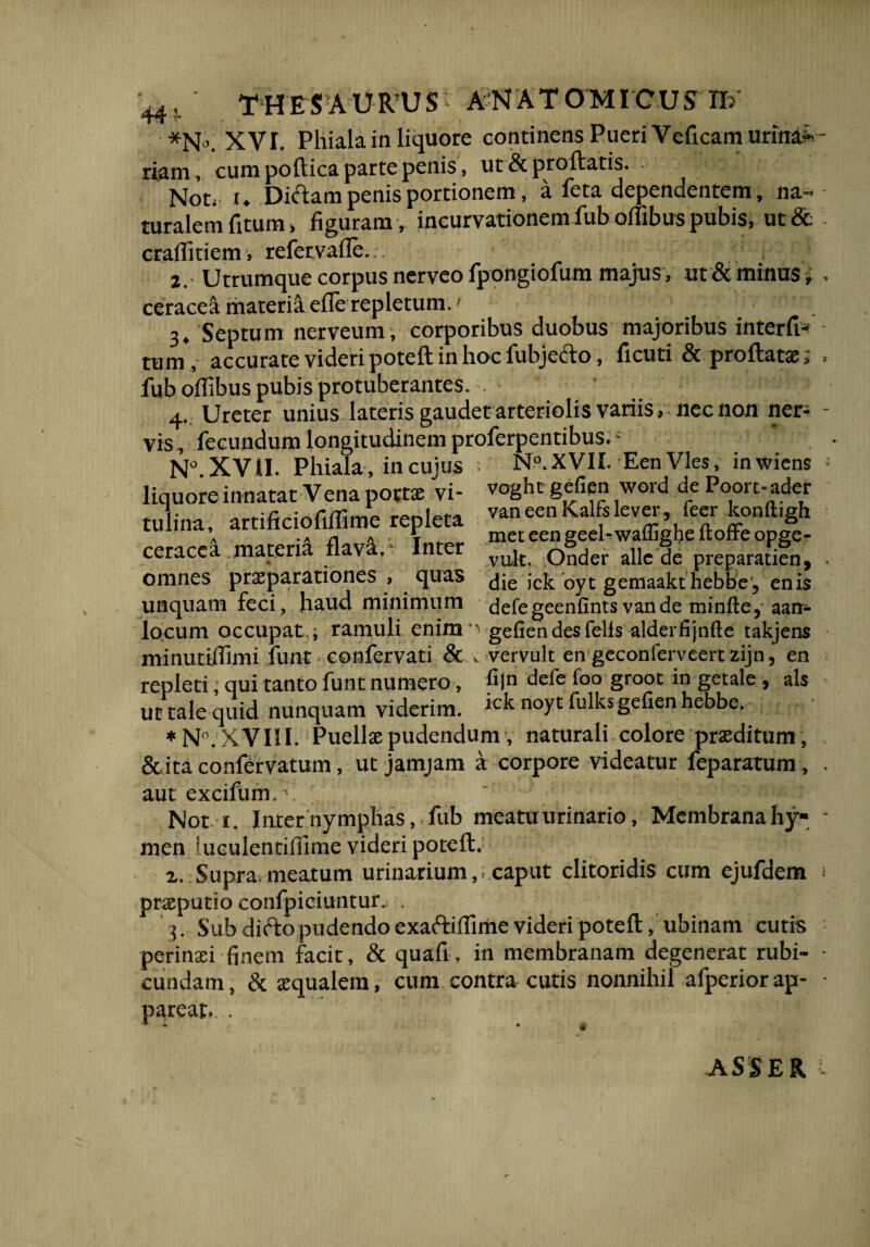 *N». XVI. Phiala in liquore continens Pueri Veficam urinat riam, cum poilica parte penis, ut & proflatis. ■ < Not, i. Diftam penis portionem, a feta dependentem, na¬ turalem fitum, figuram, incurvationem fub oflibus pubis, ut & crafiitiem, refer,vafle. ■ 2. Utrumque corpus nerveo fpongiofum majus, ut & minus, ceracea materiiefle repletum.1 3. Septum nerveum, corporibus duobus majoribus interfio tum ,- accurate videri poteft in hoc fubjedlo, ficuti & proflata; fub oflibus pubis protuberantes. . ' 1 ' 4. Ureter unius lateris gaudet arteriolis variis, nec non ner¬ vis, fecundum longitudinem proferpentibus.- N° XVil. Phiala, in cujus *. N°.XVII. Een Vies, inwiens liquore innatat Vena poeta: vi- voSht 8.efie? W0ld de Pqort-ader tulina, artificiofiifime repleta ccracea materi^ flavi.* Inter omnes praeparationes , quas unquam feci, haud minimum van een Kalfs lever, feer konftigh met een geeh wafligbe ftoffe opge- vult, Onder allc de preparatien, die ick oyt gemaakt hebbe, enis defegeenfints vande minfte, aan- locum occupat.; ramuli enim gefien des felis alderfijnfte takjens minutiffimi fimt confervati &.v vervult en geconferveert zijn, en repleti, qui tanto funt numero, hjn defe foo groot in getale , ais ut tale quid nunquam viderim. 1C^ noyc fulks gefien hebbe. *N°. XVIII. Puellae pudendum, naturali colore praeditum, &ita confer vatum, ut jamjam a corpore videatur feparatum, autexcifum,\ Not t. Inter nymphas, fub meatu urinario, Membrana hy- men iuculentiilime videri poteft. z. Supra.meatum urinarium, caput clitoridis cum ejufdem praeputio confpiciuntur. . 3. Sub difto pudendo exaftiffime videri poteft, ubinam cutis perinaei finem facit, & quafi, in membranam degenerat rubi¬ cundam, & aequalem, cum contra cutis nonnihil afperiorap- ASSER v