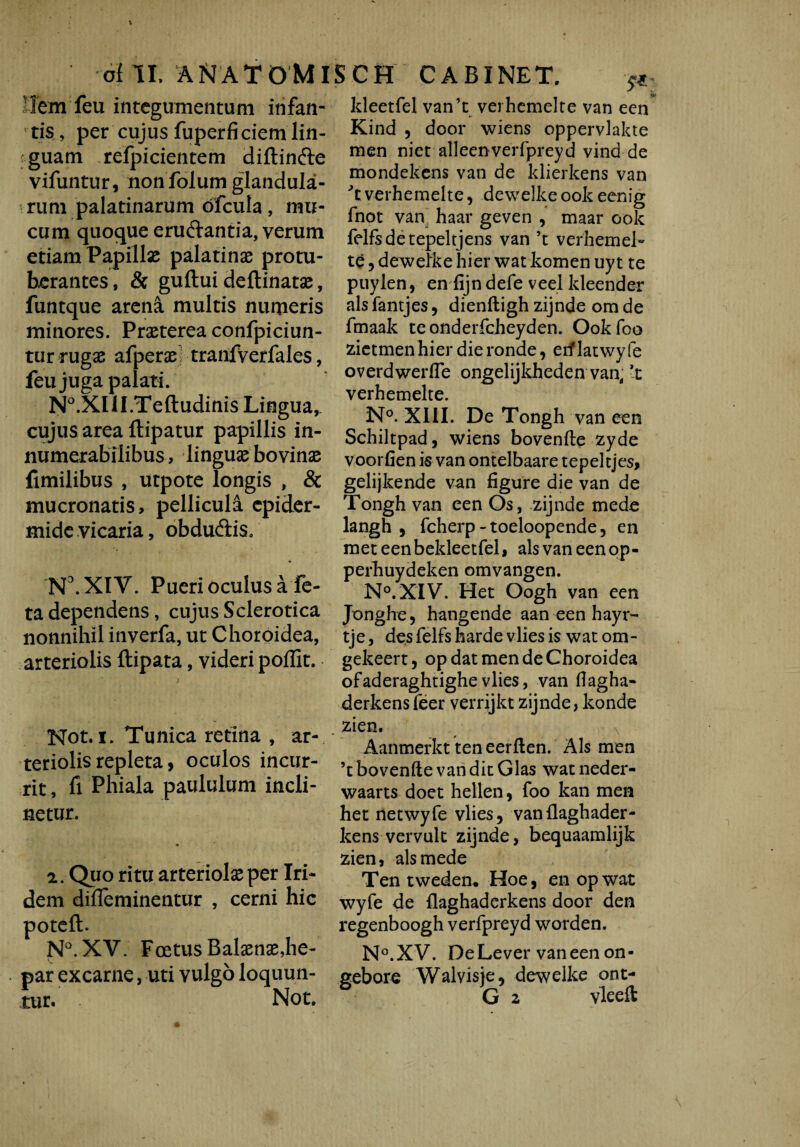 Hem feu integumentum infan¬ tis , per cujus fuperficiem lin¬ guam refpicientem diftinfre vifuntur, non folum glandula¬ rum palatinarum ofcula , mu¬ cum quoque eruftantia, verum etiam Papilla palatinae protu¬ berantes, & guftui deftinatae, funtque arena multis numeris minores. Praeterea confpiciun- tur rugae afperae tranfverfales, feu juga palati. N°.XIlI.Teftudinis Lingua,, cujus area flipatur papillis in¬ numerabilibus, linguae bovinae fimilibus , utpote longis , & mucronatis, pellicula epider¬ mide vicaria, obduftis. N3.XIY. Pueri oculus a fe¬ ta dependens, cujus Sclerotica nonnihil inverfa, ut Choroidea, arteriolis ftipata, videri pollit. ; Not. i. Tunica retina , ar¬ teriolis repleta, oculos incur¬ rit , fi Phiala paululum incli¬ netur. 2. Quo ritu arteriolae per Iri- dem difleminentur , cerni hic poteft. N°.XV. Foetus Balaenae,he¬ par excarne, uti vulgo loquun¬ tur. Not. ldeetfel van’t verhemelte van ecn Kind , door wiens oppervlakte men niet alleenverfpreyd vind de mondekens van de klierkens van 't verhemelte, dewelke ook eenig fnot van haar geven , maar ook felfsdetepeltjens van ’t verhemel¬ te , dewelke hier watkomen uyt te puylen, en fijn defe veel kleender alsfantjes, dienftigh zijnde om de fmaak teonderfcheyden. Ookfoo zietmen hier die ronde, erf latwy fe overdwerfle ongelijkheden van, 't verhemelte. N°. XIII. De Tongh van een Schiltpad, wiens bovenfte zyde voorfien is van ontelbaare tepeltjes, gelijkende van figure die van de Tongh van een Os, zijnde mede langh , fcherp - toeloopende, en meteenbekleetfel, ais van een op- perhuydeken omvangen. NvXIV. Het Oogh van een Jonghe, hangende aan een hayr- tje, des felfs harde vlies is wat om- gekeert, op dat men de Choroidea ofaderaghtighevlies, van tfagha- derkens feer verrijkt zijnde, konde zien. Aanmerkt teneerften. Ais men ’t bovenfte van dic Glas watneder- waarts doet hellen, foo kan men het netwyfe vlies, vanflaghader- kens vervult zijnde, bequaamlijk zien, ais mede Ten tweden* Hoe, en opwat wyfe de flaghaderkens door den regenboogh verfpreyd worden. N°.XV. De Lever van een on- sebore Walvisje, dewelke ont-