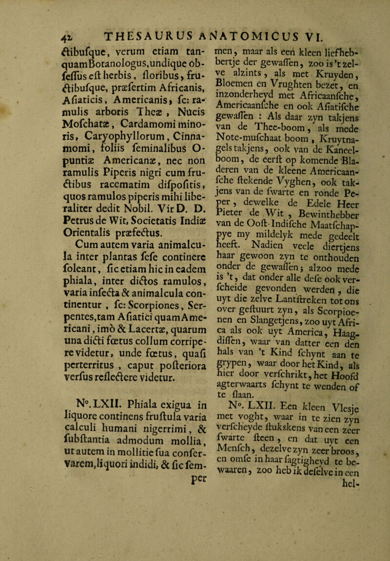 ftibufque, verum etiam tan- quamBotanologus, undique ob- fefluseft herbis, floribus» fru- ftibufque, praefertim Africanis, Afiaticis, Americanis» fc: ra¬ mulis arboris Thes , Nucis Mofchatac, Cardamomi mino¬ ris, Caryophyllorum, Cinna¬ momi, foliis feminalibus O- puntis Americanae, nec non ramulis Piperis nigri cum fru- ftibus racematim difpofitis, quos ramulos piperis mihi libe- raliter dedit Nobil. VirD. D. Petrus de Wit, Societatis Indiae Orientalis praefeftus. Cum autem varia animalcu- la inter plantas fefe continere foleant, fic etiam hic in eadem phiala, inter diftos ramulos, varia infefta & animalcula con¬ tinentur , fc: Scorpiones, Ser¬ pentes,tam Afiatici quam Ame¬ ricani , imo & Lacertae, quarum unadifti foetus collum corripe- revidetur, unde fetus, quafi perterritus , caput pofteriora verfus refle&ere videtur. N°.LXII. Phiala exigua in liquore continens fruftula varia calculi humani nigerrimi, & fubftantia admodum mollia, ut autem in mollitie fua confer- Varem,liquori indidi, & fic fem- per men, maar ais een kleen licfheb- bertje der gewaflen, zoois’tzel- ve alzints , ais met Kruyden, Bloemen en Vrugliten bezet, en inzonderheyd met Africaanfche, Americaaniche en ook Afiatifche gewaflen : Ais daar zyn takjens van de Thee-boom, ais mede Note-mufchaat boom , Kruytna- gelstakjens, ook van de Kaneei- boom, de eerft op komende Bla- deren van de kleene Americaan- fche ftekende Vyghen, ook tak¬ jens van de fwarte en ronde Pe- per, dewelke de Edele Heer Pieter de Wit , Bewinthebber van de Ooft-Indifche Maatfchap- pye my mildelyk mede gedeelt heeft. Nadien veele diertjcns haar gewoon zyn te onthouden onder de gewaflen $ alzoo mede is t, dat onder alie dele ook ver- fcheide gevonden werden , die uyt die zelve Lantftreken totons over geltuurt zyn, ais Scorpioe- nen en Slangetjens, zoo uyt Afri¬ ca ais ook uyt America, Haas- dilTen, waar van datter een den hals van ’t Kind fchynt aan te grypen, waar door het Kind, ais hier door verfchrikt, het Hoofd agterwaarts fchynt te wenden of te llaan. N°. LXII. Een kleen Vlesje met voght, waar in te zien zyn verfcheyde ftukskens van een zeer fwarte fteen , en dat uyt een Menfch, dezelve zyn zeer'broos, en omfe in haar fagtigheyd te be- waaren» zoo heb ik defelve in een hei-