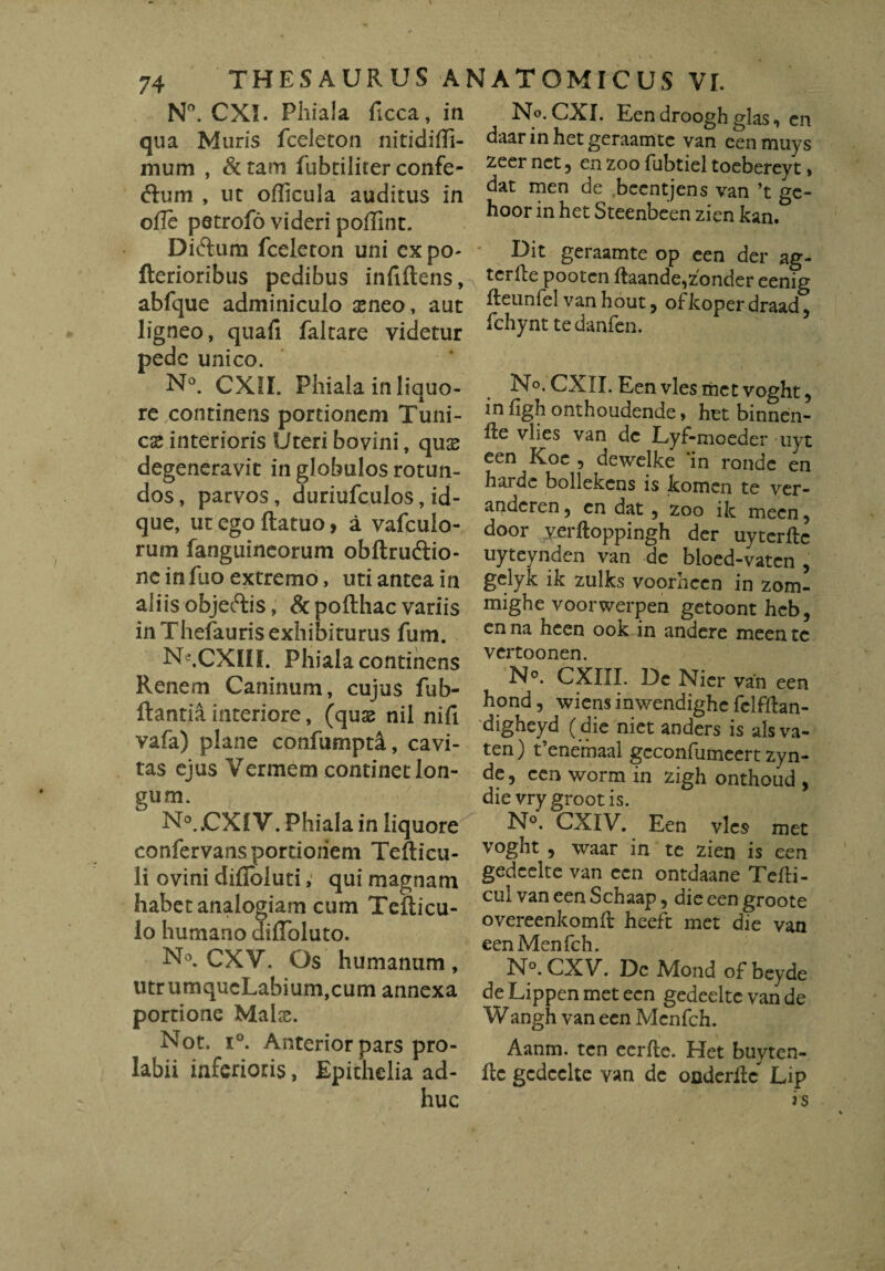 N°. CXI. Phiala ficca, in qua Muris fceiecon nitidiffi- mum , &tam fubcilirer confe- ftum , ut officula auditus in ojfle petrofo videri poffint. Diftum fceleton uni expo- fterioribus pedibus infiftens, abfque adminiculo aeneo, aut ligneo, quafi faltare videtur pede unico. N°. CXII. Phiala in liquo¬ re continens portionem Tuni¬ cae interioris Uteri bovini, qus degeneravit in globulos rotun¬ dos , parvos, duriufculos, id- que, ut ego ftatuo, a vafculo- rum fanguineorum obftruftio- ncinfuo extremo, uti antea in aliis objectis, & pofthac variis in Thefauris exhibiturus fum. Ne.CXIII. Phiala continens Renem Caninum, cujus fub- ftantia interiore, (quae nil nifi vafa) plane confumpti, cavi¬ tas ejus Vermem continetlon- gum. N°.CXIV. Phiala in liquore confervansportioriem Tefticu- li ovini diflbluti, qui magnam habet analogiam cum Tefticu- lo humano dmoluto. No. CXV. Os humanum , utrumqucLabium,cum annexa portione Malae. Not. i°. Anterior pars pro- labii inferioris, Epithelia ad¬ huc No. CXI. Een droogh glas, en daar in het geraamte van een muys zeer net 5 en zoo fubtiel toebereyt» dat men de becntjens van ’t ge- hoor in het Steenbeen zien kan. Dit geraamte op een der ag- terfte pooten ftaande,z'onder eenig fteunfel van hout, ofkopcr draad, fchynttedanfen. No. CXII. Een vies met voght 5 in iigh onthoudende, het binnen- fte vhes van de Lyf-moeder uyt een Koc , dewelke ‘in ronde en harde bollelcens is komen te ver- anderen, en dat 9 zoo ik mecn, door y.erftoppingh der uyterfte uyteynden van de bloed-vatcn , gelyk ik zulks voorneen in zom- mighe voorwerpen getoont heb, en na heen ook in andere meen tc vertoonen. N°. CXIII. De Nier van een hond, wicnsinwendighefelfftan- digheyd ( die niet anders is ais va- ten) t’enemaal gcconfumeert zyn- de, een worm in zigh onthoud , die vry grootis. N°. CXIV. Een vies met voght , waar in te zien is een gedcelte van een ontdaane Tefti- cul van een Schaap, die een groote overeenkomft heeft met die van een Menfch. N°. CXV. Dc Mond of beyde deLippenmet een gedeeite van de Wangh van een Menfch. Aanm. ten eerfte. Het buyten- ftc gcdcclte van de onderfo Lip is