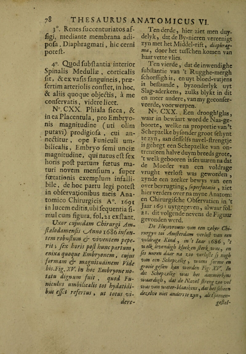 3°. Renes fuccenturiatos af¬ figi, mediante membrana adi- pofa, Diaphragmati, hic cerni poteft. 4°. Quod fubftantia interior Spinalis Medullae, corticalis fit, &ex vafisfanguineis,pne- fertim arteriolis condet, in hoc, & aliis quoque obje&is, a me confervatis, videre licet. N°. CXX. Phiala ficca, & in ea Placentula, pro Embryo¬ nis magnitudine (uti olim putavi) prodigiofa , cui an¬ nectitur , ope Funiculi um¬ bilicalis , Embryo femi unciae magnitudine, qui natus ed fex horis pod partum foetus ma¬ turi novem mendum , fuper foetatienis exemplum infalli¬ bile , de hoc partu legi poted in obfervatyonibus meis Ana¬ tomico Chirurgicis A°. 1691 in lucem editis,ubi fequentia fi. mul cum figura. foLxi exdant. Uxor cujwdam Chirurgi Am- ft&lodamenfts i^Anno 1686 infan- tem robujlum & viventem pepe- rit \ fex horis poft hunc partum, enixa quoque Embryonem, cujus formam & magnitudinem Vide bisAigsXVin hoc Embryone no¬ tatu dignum fuit , quod Fu¬ niculus umbilicalis tot hydatidi- bus ejft refertus , ut totus vi¬ dere* 1 enderde, hier ziet men duy- delyk 9 dat deBy-nieren vereenigt zyn met het Middel-rift , diaphrag- ^ door het tuilchcn komen van haar vettevlies. Ten vierde, dat de inwendighe fu b danti e van ’t Rugghe-mergh fchorfligh is, enuyt bloed-vatjcns is bedaande , byzonderlyk uyt Slag-aderkens, zulks blykt in dit en meer andere* vanmy geconfer- veerde, voorwerpen. N°. CXX. . Een drooghfglas, waar in bewaart word de Naa-ge- boorte, welke na proportie van5t Schepzelke byfonder groot fehynt te zyn, aan dedelfs navel-ftrengtje is geoegt een Schepzelke van on- trenpeen halve duym breeds grote, t welk gebooren is fes uuren na dat de Moeder van een voldrage vrugnt verloft was gcworden , zynde een zeeker bewys van een overbevrugtin g9fip erfoetaiio , ziet hierverders over namyne Anatom: en Chirurgifche Obfervatien in ’t Jaar 1691 uytgegeven, alwaarfol.' 11 • dit volgendenevens deFjguur gevonden werd. De Huysvromv van een zeker Chi- rurgyn tot Am/terdam verloft: van een voldrage Ktnd, m ;t Iaar ,6$6 , uelk^levendigh klockjen fterk^was5 en fes nuren daar na zoo verloft e fy nogh van een- Schepzelke 5 urens for me en grooiegefien \an iverden Fig: XV. In dit Schep cel^e u/as het aanmerkc ns waaidfh 5 dat de Navel flreng z^oo vol vaas van water-blaaskens, dat het fcheen devehe met anders te zyn ^ alstjamen- geftel-