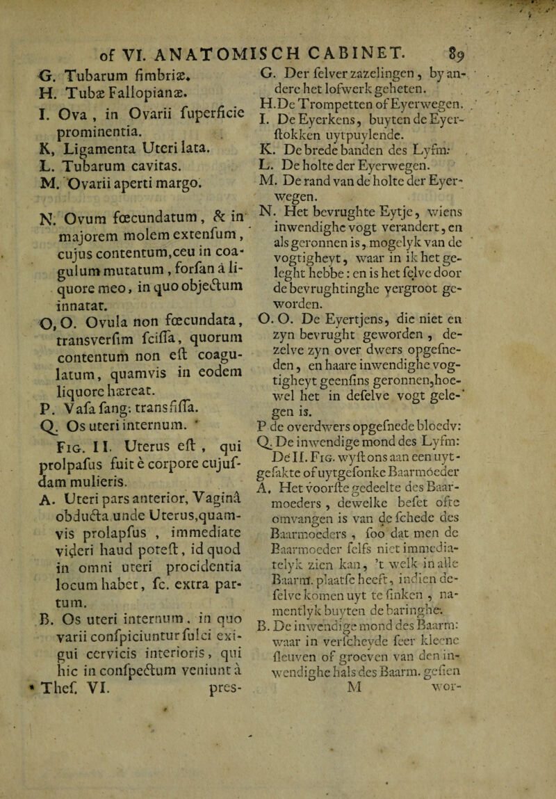 G. Tubarum fimbriae H. Tubas Fallopianae. I. Ova , in Ovarii fuperficie prominentia. K. Ligamenta Uteri lata. L. Tubarum cavitas. M. Ovarii aperti margo. N. Ovum fcecundatum, & in majorem molem extenfum, cujus contentum,ceu in coa¬ gulum mutatum , forfan a li¬ quore meo, in quo objedtum innatat. O. 0. Ovula non fecundata, transverfim fciffa, quorum contentum non eft coagu¬ latum, quamvis in eodem liquore haereat. P. Vafafang; transfifia. Q. Os uteri internum. ' Fig. II. Uterus eft , qui prolpafus fuit e corpore cujuf- dam mulieris, A. Uteri pars anterior, VaginA obducta unde Uterus,quam¬ vis prolapfus , immediate videri haud poteft, id quod in omni uteri procidentia locum habet, fc. extra par¬ tum. B. Os uteri internum, in quo varii confpiciuntur fulci exi¬ gui cervicis interioris, qui hic inconfpe&um veniunt a Thef. VI. pres- G. Der felver zazelingen 3 byan- dere het lofwerk geheten. H. De Trompetten ofEyerwegen. I. DeEyerkens, buyten de Eyer- ftokken uytpuylende. K. De brede banden des Lyfm: L. De holte der Eyerwegen. M. De rand van de holte der Eyer¬ wegen. N. Het bevrughte Eytje, wiens inwendighc vogt verandert 3 en ais geronnen is3 mogelyk van de vogtigheyt3 waar in ik het ge- leght hebhe: en is het felve door de bevrughtinghe yergroot ge- worden. O. O. De Eyertjens, die niet en zyn bevrught geworden 3 de- zelve zyn over dwers opgefne- dcn 5 en haare inwendighe vog¬ tigheyt geenfins geronnen3hoe- wel het in defelve vogt gele-‘ gen is. P de overdwers opgefnedebloedv: Q. De inwendige mond des Lyfm: De II. Fig. wyll: ons aan een uyt - gefakte of uytgefonke Baarmoeder A, Het voorile gedeelte des Baar- moeders , dewelke befet. oxte omvangen is van de fchede des Baarmoeders , foo dat men de Baarmoeder felfs nietimmedia- telyk zien kan3 5t welk in alie Baarm. piaatfe heeft, indien de¬ felve komen uyt te finken 3 na- mentlyk buyten debaringhe-. B. De inwendige mond des Baarm: waar in verfcheyde feer kleene fleuven of groeven van den in¬ wendighe hals des Baarm. geiien M wor-