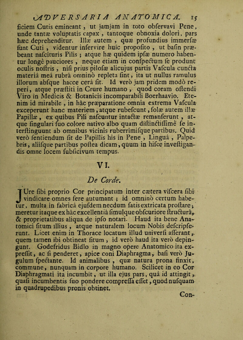 ficiem Cutis emineant, ut jamjam in toto obfervavi Pene, unde tantae voluptatis capax , tantoque obnoxia dolori, pars haec deprehenditur. Illas autem , quae profundius immerfse fiint Cuti , videntur infervire huic propofito , ut bafin prae¬ beant nafcituris Pilis ; atque hae quidem ipfae numero haben¬ tur longe pauciores , neque etiam in confpe&um fe produnt oculis noflris, nili prius pilofae alicujus partis Vafcula cuncta materia mea rubra omnino repleta finr, ita ut nullus ramulus illorum abfque hacce cera fit. Id vero jam pridem modo re- peri, atque praeftiti in Crure humano j quod coram oftendi Viro in Medicis & Botanicis incomparabili Boerhaavio. Ete¬ nim id mirabile , in hac praeparatione omnia extrema Vafcula exceperunt hanc materiem, atque rubefeunt, folae autem illae Papillae , ex quibus Pili nafcuntur intaftae remanferunt , at¬ que fingulari fuo colore nativo albo quam diftinffiflime fe in- terftinguunt ab omnibus vicinis ruberrimifque partibus. Quid vero fentiendum fit de Papillis his in Pene > Lingua , Palpe¬ bris, aliifque partibus pofiea dicam , quum in hifce invefligan- dis omne locem fubficivum tempus. VI. De Corde. * JUre fibi proprio Cor principatum inter caetera vifcera fibi vindicare omnes fere autumant ; id omnino certum habe¬ tur, multa in fabrica ejufdem necdum fatis extricata proflare; meretur itaque ex hac excellentia fimulque obfcuriore ftru6lura,, & proprietatibus aliqua de ipfo notari. Haud ita bene Ana¬ tomici fitum illius , atque naturalem locum Nobis defcripfe- runt. Licet enim in Thorace locatum illud univerfi afferant,, quem tamen ibi obtineat fitum , id vero haud ita vero depin¬ gunt. Godefridus Bidlo in magno opere Anatomico ita ex- preffit, ac fi penderet, apice coni Diaphragma, bafi vero Ju¬ gulum fpe&ante. Id animalibus , qua; natura prona finxit, commune, nunquam in corpore humano. Scilicet in eo Cor Diaphragmati ita incumbit, ut illa ejus pars, qua id attingit, quafi incumbentis fuo pondere compreffa effet, quod nufquam in quadrupedibus pronis obtinet. Con-