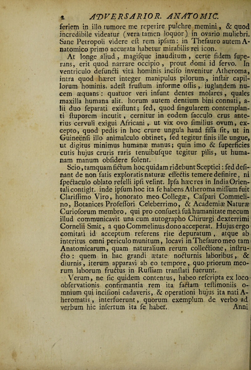 feriem in illo tumore me reperire pulchre memini, & quod incredibile videatur (vera tamen loquor) in ovario muliebri. Sane Petropoli videre eft rem ipfam : in Thefauro autem A* natomico primo accurata habetur mirabilis rei icon. At longe aliud , magifque inauditum, certe fidem fupe- rans, erit quod narrare occipio , prout domi id fervo. In ventriculo defuncti vita hominis incifo invenitur Atheroma, intra quod haeret integer manipulus pilorum, inftar capil¬ lorum hominis, adeft fruftum informe offis, iuglandem nu¬ cem aequans: quatuor veri infunt dentes molares, quales maxilla humana alit, horum autem dentium bini connati, a- lii duo feparati exiftunt; fed, quod Angularem contemplan¬ ti ftuporem incutit, cernitur in eodem facculo crus ante¬ rius cervuli exigui Africani,. ut vix ovo fimilius ovum, ex¬ cepto, quod pedis in hoc crure ungula haud fiffia fit, ut in Guineenfi illo animalculo obtinet, fed tegitur finis ille ungue, ut digitus minimus humanae manus; quin imo & fuperficies cutis hujus cruris raris tenuibufque tegitur pilis, ut huma¬ nam manum obfidere folent. Scio, tamquam fidum hocquidamridebuntSceptici: feddefi- nant de non fatis exploratis naturae effeftis temere definire, ni fpecfaculo oblato ref elli ipfi velint. Ipfa haec res in India Orien¬ tali contigit. inde ipfum hoc ita fe habens Atheroma milium fuit Clariffimo Viro, honorato meo Collegae, Cafpari Commeli- no, Botanices ProfefTori Celeberrimo, & Academiae Naturae Curioforum membro, qui pro confuetafuahumanitatemecum illud communicavit una cum autographo Chirurgi dexterrimi Cornelii Smit, a quo Commelinus dono acceperat. Hujus ergo comitati id acceptum referens rite depuratum , atque ab interitus omni periculo munitum, locavi in Thefauro meo tam Anatomicarum, quam naturalium rerum colledfione, inftru- 6fo : quem in hac grandi aetate nofturnis laboribus,. & diurnis, iterum apparavi ab eo tempore,.quo priorum meo* rum laborum fruftus in Ruffiam tranflati fuerunt.. Verum, ne fic quidem contentus, habeo referipta exloco1 obfervationis confirmantia rem ita faftam teffimoniis o- mnium qui incifioni cadaveris, & operationi hujus ita nati A- heromatis, interfuerunt,, quorum exemplum de verbo ad verbum hic infertum ita fe. habet.. Anni