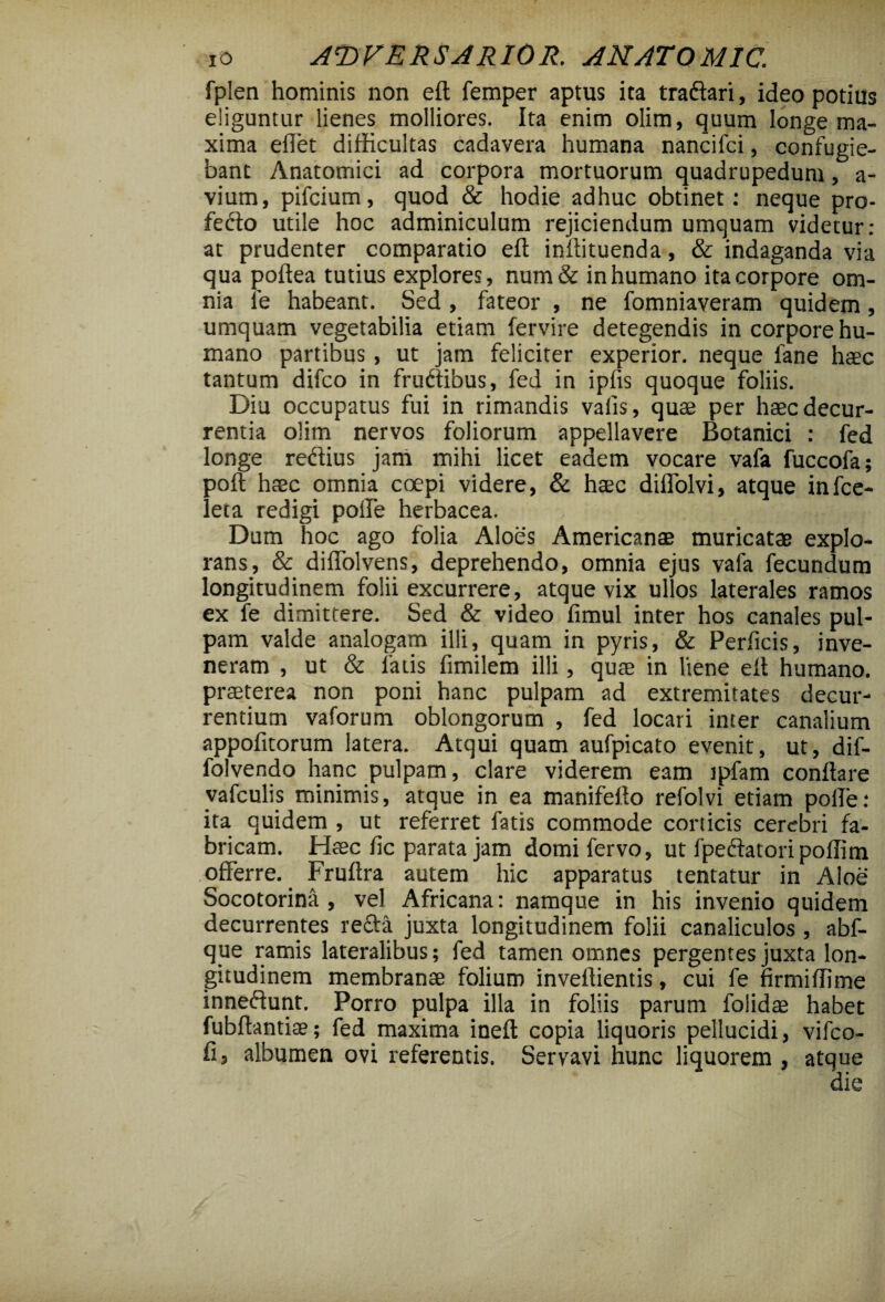 fplen hominis non eft femper aptus ita tra&ari, ideo potius eliguntur lienes molliores. Ita enim olim, quum longe ma¬ xima edet difficultas cadavera humana nancifci, confugie¬ bant Anatomici ad corpora mortuorum quadrupedum, a- vium, pifcium, quod & hodie adhuc obtinet: neque pro- fedto utile hoc adminiculum rejiciendum umquam videtur: at prudenter comparatio eft inftituenda, & indaganda via qua poftea tutius explores, num& inhumano ita corpore om¬ nia fe habeant. Sed, fateor , ne fomniaveram quidem, umquam vegetabilia etiam fervire detegendis in corpore hu¬ mano partibus, ut jam feliciter experior, neque lane haec tantum difco in fruftibus, fed in ipfis quoque foliis. Diu occupatus fui in rimandis vads, quae per haec decur¬ rentia olim nervos foliorum appellavere Botanici : fed longe reflius jam mihi licet eadem vocare vafa fuccofa; poft haec omnia coepi videre, & haec didolvi, atque infce- leta redigi polle herbacea. Dum hoc ago folia Aloes Americanae muricatae explo¬ rans, & didolvens, deprehendo, omnia ejus vafa fecundum longitudinem folii excurrere, atque vix ullos laterales ramos ex fe dimittere. Sed & video fimul inter hos canales pul¬ pam valde analogam illi, quam in pyris, & Perficis, inve¬ neram , ut & latis fimilem illi, quae in liene eft humano, praeterea non poni hanc pulpam ad extremitates decur¬ rentium vaforum oblongorum , fed locari inter canalium appofitorum latera. Atqui quam aufpicato evenit, ut, dif- folvendo hanc pulpam, clare viderem eam ipfam conflare vafculis minimis, atque in ea manifefto refolvi etiam polle: ita quidem , ut referret fatis commode corticis cerebri fa¬ bricam. Haec fic parata jam domi fervo, ut fpeftatori poliim offerre. Fruftra autem hic apparatus tentatur in Aloe Socotorina , vel Africana: namque in his invenio quidem decurrentes reffa juxta longitudinem folii canaliculos, abf- que ramis lateralibus; fed tamen omnes pergentes juxta lon¬ gitudinem membranae folium inveftientis, cui fe firmiffime inneftunt. Porro pulpa illa in foliis parum folidae habet fubftantiae; fed maxima ineft copia liquoris pellucidi, vifco- fi, albumen ovi referentis. Servavi nunc liquorem , atque