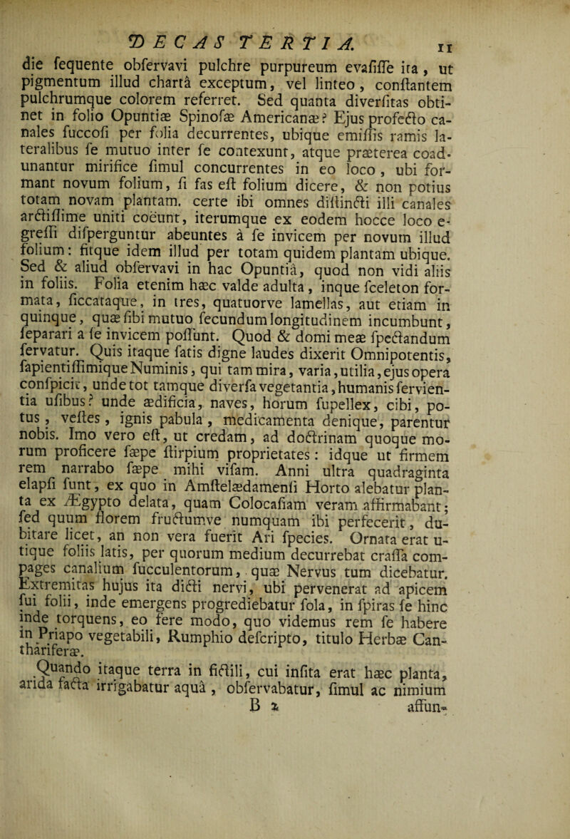 die fequente obfervavi pulchre purpureum evafifle ita , ut pigmentum illud charta exceptum, vel linteo, conflantem pulchrumque colorem referret. Sed quanta diverfitas obti¬ net in folio Opuntiae Spinofae Americanas? Ejus profefto ca¬ nales fuccofi per folia decurrentes, ubique emiflis ramis la¬ teralibus fe mutuo inter fe contexunt, atque praeterea coad¬ unantur mirifice fimul concurrentes in eo loco , ubi for¬ mant novum folium, fi fas efl folium dicere, & non potius totam novam plantam, certe ibi omnes difiinfti illi canales ardhflime uniti coeunt, iterumque ex eodem hocce loco e- grefli difperguntur abeuntes a fe invicem per novum illud folium: fitque idem illud per totam quidem plantam ubique. Sed & aliud obfervavi in hac Opuntia, quod non vidi aliis in foliis. Folia etenim haec valde adulta , inque fceleton for¬ mata, ficcataque, in tres, quatuorve lamellas, aut etiam in quinque, quae fibi mutuo fecundum longitudinem incumbunt, feparari a fe invicem poliunt. Quod & domi meae fperiandum fervatur. Quis itaque fatis digne laudes dixerit Omnipotentis, fapientiflimique Numinis, qui tam mira, varia, utilia, ejus opera confpick, unde tot tarnque diverfa vegetantia, humanis fervi en¬ tia ufibus? unde aedificia, naves, horum fupellex, cibi, po¬ tus , vefles, ignis pabula , medicamenta denique, parentur nobis. Imo vero efl, ut credam, ad doflrinam quoque mo¬ rum proficere faepe ftirpium proprietates: idque ut firmem rem narrabo faspe. mihi vifam. Anni ultra quadraginta elapfi funt, ex quo in Amftelatdamenfi Horto alebatur plan¬ ta ex /Egypto delata, quam Colocafiam veram affirmabant; fed quum florem frufiumve numquam ibi perfecerit, du¬ bitare licet, an non vera fuerit Ari fpecies. Ornata erat u- tique foliis latis, per quorum medium decurrebat crafla com¬ pages canalium fucculentorum, quae Nervus tum dicebatur. Extremitas hujus ita diffi nervi, ubi pervenerat ad apicem fui folii, inde emergens progrediebatur fola, in fpiras fe hinc inde torquens, eo fere modo, quo videmus rem fe habere 1?. .jaP° vegetabili, Rumphio defcripto, titulo Herbae Can- thanferae. 'taflue terra *n fi^ilij cui infita erat haec planta, anda facta irrigabatur aqua , obfervabatur, fimul ac nimium B a affun»