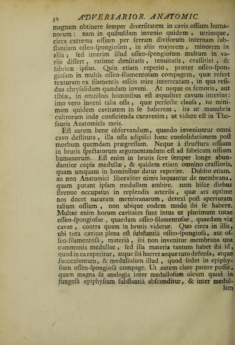 magnam obtinere femper diverfitatem in cavis offium huma¬ norum : nam in quibufdam invenio quidem , utrimque, circa extrema oflium per ferram diviforum internam fub- ftantiam oiieo-fpongiofam , in aliis majorem , minorem in aliis ; fed inierim illud ofleo-fpongiofum multum in va¬ riis differt , ratione denfitatis, tenuitatis, craflitiei , & fabricae ipfius. Quin etiam reperio, praeter ofleo-fpon- giolam in multis ofleo-filamentoiam compagem, quae refert texturam ex filamentis ofleis mire intertextam, in qua refi- dua chryfalidum quaedam inveni. At neque os femoris, aut tibiae, in omnibus hominibus eft aequaliter cavum interius: imo vero inveni talia offa, quae perfefte claufa , ne mini¬ mam quidem cavitatem in fe haberent, ita ut manubria cultrorum inde conficienda curaverim; ut videre eff in The- fauris Anatomicis meis. Eft autem bene obfervandum, quando inveniuntur omni cavo deftituta, illa offa adipifci hanc confolidationem poft morbum quemdam praegreffum. Neque a ftrudffura oflium in brutis fpedatorum argumentandum eft ad fabricam oflium humanorum. Eft enim in brutis fere femper longe abun- danticr copia medullae , & quidem etiam omnino craflioris, quam umquam in hominibus datur reperire. Dubito etiam, an non Anatomici liberaliter nimis loquantur de membrana, quam putant ipfam medullam ambire, nam hifce diebus ftrenue occupatus in replendis arteriis , quae ars optime nos docet naturam membranarum, detexi poft aperturam talium oflium , non ubique eodem modo ibi fe habere. Multae enim horum cavitates funt intus ut plurimum totae offeo-fpongiofae , quaedam offeo-filamentofae , quaedam vix cavae , contra quam in brutis videtur. Quo circa in illis, ubi tota cavitas plena eft fubftantia offeo-fpongiofa, aut of- feo-fi!amentofa , materi^ , ibi non invenitur membrana una communis medullae , fed illa materia tantum habet ibi id, quodineareperitur, atque ibi haeret aeque tuto defenfa, atque fuccculentum, & medullofum illud , quod fedet in epiphy- fium offeo-fpongiofa compage. Ut autem clare patere poflit, quam magna fit analogia inter medullofum oleum quod in fungofa epiphyfium fubftantia abfconditur, & inter medul-