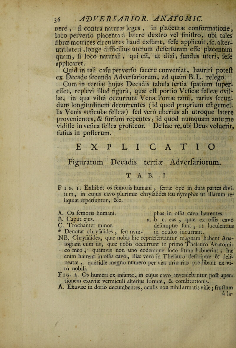 pere , fi contra naturas leges , in placent* conformatione, loco perverfo placenta a latere dextro vel finiftro, ubi tales fibraemotrices circulares haud exftant, fefe applicuit,fc.alter¬ utri lateri, longe difficilius uterum deferturam efle placentam quam, fi loco naturali, qui eft, ut dixi, fundus uteri, fefe applicaret. Quid in tali cafu perverfo facere conveniat, hauriri poteft ex Decade fecunda Adverfariorum, ad quam B. L. relego. Cum in terti* hujus Decadis tabula tertia fpatium fuper- eflet, replevi illud figura, qu* eft portio Vefic* felle* ovil* 1*, in qua vilui occurrunt Ven*Port* rami, rarius fecun¬ dum longitudinem decurrentes (id quod proprium eft gemel¬ lis Venis veficul* felle*) fed vero uberius ab utroque latere provenientes, & furfum repentes, id quod numquam ante me vidifie invefica fellea profiteor. De hac re, ubi Deus voluerit, fufius in pofterum. EXPLICATIO Figurarum Decadis terti* Adverfariorum. T A B. I. F i g. i. Exhibet os femoris humani , ferrae ope in duas partes divi- fum, in cujus cavo plurimae chryfalides feu nymphae ut illarum re¬ liquiae reperiuntur, 8cc. A. Os femoris humani. phas in offis cavo haerentes. B. Caput ejus. a. b. c. eas , quae ex offis cavo C. Trochanter minor. defumptae funt , ut luculentius * Denotat chryfalides , feu nym- in oculos incurrant. NB. Chryfalides, quae nobis hic reprasfentantur magnam habent Ana¬ logiam cum iis, quae nobis occurrunt in primo Thefauro Anatomi¬ co meo , • quamvis non uno eodemque loco fitum habuerint ; hse enim haerent in offis cavo, ill^ vero in Thefauro deferiptas Sc deli- neatae , quotidie magno numero per vias urinarias prodibant ex vi¬ ro nobili. Fi g. z. Os humeri ex infante, in cujus cavo inveniebantur poft aper¬ tionem exuviae vermiculi alterius formae, £c conflitutionis. A. Exuviae in dorfo decumbentes, oculis non nihil armatis vifae $ fruftum a la-