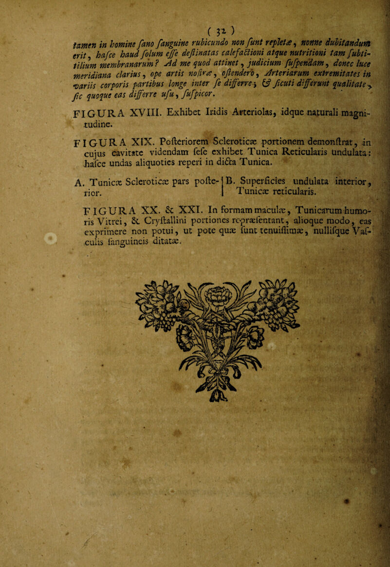 () evit lOaJCe lOClUd JOlUm ejje uiyitvri'* nut/invnf tum J tilium membranarum? jid me quod attinet ^ judicium fufpendam^ donec luce meridiana clarius, ope artis nofirie, ofiendero, Jrteriarum extremitates in •variis corporis partibus longe inter fe differre£5? ficuti differunt qualitate fic quoque eas differre ufu, /ufpicor. FIGURA XVIII. Exhibet Indis Arteriolas, idque najLurali magni¬ tudine. figura XIX. Pofteriorem Scleroticae portionem demonftrat, in cujus cavitate videndam fefc exhibet Tunica Reticularis Undulata : Fafce undas aliquoties reperi in difta Tunica. A. Tunicx Scleroticx pars pofte- rior. B. Superficies undulata interior, Tunicx reticularis. TIGURA XX. & XXL In formam maculx, Tunicarum humo¬ ris Vitrei, Sc Cryfiallini portiones rcprxfentant, alioque modo, eas exprimere non potui, ut pote qux funt tenuiflimx, nullifquc Vaf* culis ianguineis ditatx. .' >1*