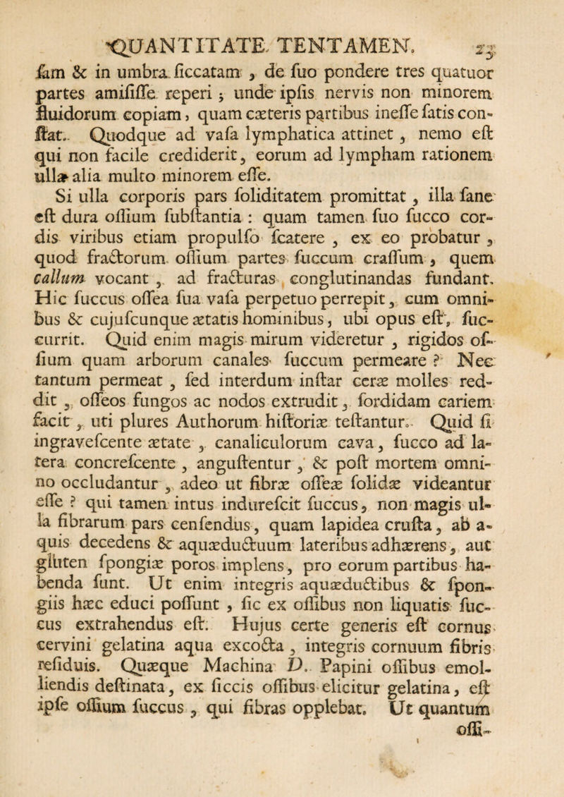 iam &amp; in umbraficcatam , de fuo pondere tres quatuor partes amififle reperi * unde ipfis nervis non minorem fluidorum copiam, quam ceteris partibus ineffe fatis con- flat.. Quodque ad vafa lymphatica attinet 5 nemo eft qui non facile crediderit 3 eorum ad lympham rationem ulla* alia multo minorem efle. Si ulla corporis pars foliditatem promittat, illa fane eft dura oflium fubftantia : quam tamen fuo fucco cor¬ dis viribus etiam propulfo fcatere 3 ex eo probatur , quod frattorum oflium partes fuccum craflum , quem callum vocant 5 ad frafturas conglutinandas fundant. Hic fuccus oflfea fua vafa perpetuo perrepit 3 cum omni¬ bus &amp; cujufcunque aetatis hominibus, ubi opus eft, fuc- currit. Quid enim magis mirum videretur 3 rigidos of¬ lium quam arborum canales* fuccum permeare ? Nee tantum permeat 5 fed interdum inftar cerre molles red¬ dit s, offeos fungos ac nodos extrudit 3 fordidam cariem facit r uti plures Authorum hiftoriae teilantur, Quid fi ingravefcente retate 3. canaliculorum cava 3 fucco ad la¬ tera concrefcente 3 anguftentur 3: &amp; poft mortem omni¬ no occludantur 3 adeo ut fibrx oflbre folidre videantur efle ? qui tamen intus indurefcit fuccus 9 non magis ul- ia fibrarum pars cenfendus , quam lapidea crufta, ab a- quis decedens &amp;c aqureduffcuum lateribus adhrerens 9. aut gititen fpongix poros implens 5 pro eorum partibus ha¬ benda funt. Ut enim integris aqureduftibus &amp; fpon« giis hxc educi pofliint , fic ex oflibus non liquatis fuc¬ cus extrahendus eft. Hujus certe generis eft cornus* cervini gelatina aqua exco&amp;a 3 integris cornuum fibris refiduis. Quaeque Machina V.. Papini oflibus emol¬ liendis deftinata3 ex ficcis oflibus elicitur gelatina, ipfe oflium fuccus 3 qui fibras opplebat» Ut quantum ©ffi~