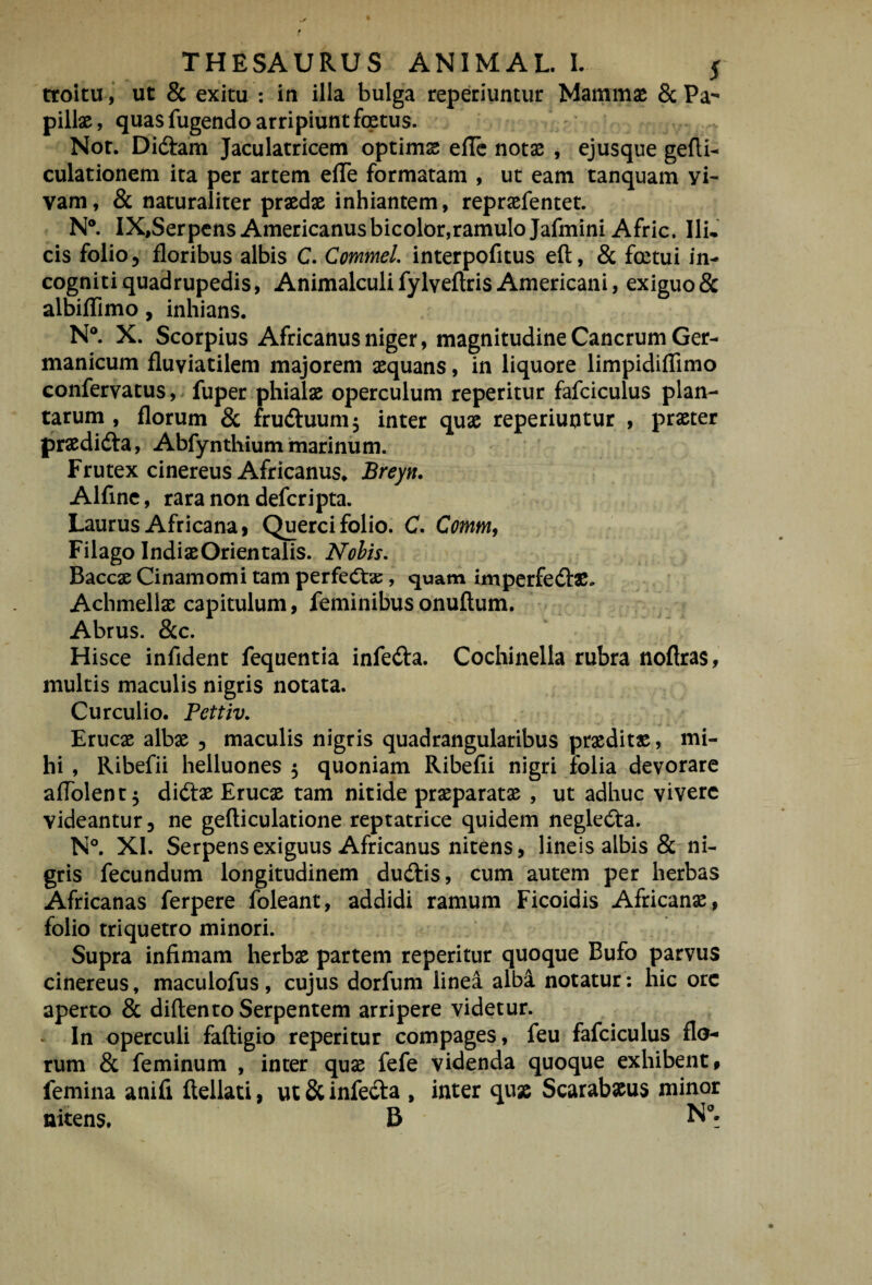 troituut & exitu : in illa bulga reperiuntur Mammae & Pa^ pillae, quas fugendo arripiunt fcetus. Nor. Didam Jaculatricem optimae elTc notae , ejusque gefli- culationem ita per artem elTe formatam , ut eam tanquam yi- vam, & naturaliter praedx inhiantem, repraefentet. N®. IX,Serpcns Americanusbicolor,ramulo JafminiAfric. Ili., cis folio ^ floribus albis C. CommeL interpofitus eft, & foetui in¬ cogniti quadrupedis, Animalculifylveftris Americani, exiguo & albiffimo, inhians. N®. X. Scorpius Africanus niger, magnitudine Cancrum Ger¬ manicum fluviatilem majorem aequans, in liquore limpidiflimo confervatus, fuper phialae operculum reperitur fafciculus plan¬ tarum , florum & fruduum^ inter quae reperiuntur , praeter praedida, Abfynthium marinum. Frutex cinereus Africanus. Breyn. Alfinc, rara non defcripta. Laurus Africana, Quercifolio. C. Comm^ Filago IndiaeOrientalis. Nohis, Baccae Cinamomi tam perfedac, quam imperfedae. Achmellae capitulum, feminibus onuftum, Abrus. &c. Hisce infident fequentia infeda. Cochinella rubra noftras, multis maculis nigris notata. Curculio. Pettiv, Erucae albae 5 maculis nigris quadrangularibus praeditae, mi¬ hi , Ribefii helluones 5 quoniam Ribefii nigri folia devorare afTolent^ didae Erucae tam nitide praeparatae , ut adhuc vivere videantur, ne gefticulatione reptatrice quidem negleda. N®. XI. Serpens exiguus Africanus nitens, lineis albis & ni¬ gris fecundum longitudinem dudis, cum autem per herbas Africanas ferpere foleant, addidi ramum Ficoidis Africanae, folio triquetro minori. Supra infimam herbae partem reperitur quoque Bufo parvus cinereus, maculofus , cujus dorfum linea albi notatur: hic ore aperto & diftento Serpentem arripere videtur. - In operculi faftigio reperitur compages, feu fafciculus flo¬ rum & feminum , inter quae fefe videnda quoque exhibent, femina anifi flellati, ut & infeda , inter quae Scarabaeus minor nitens. B