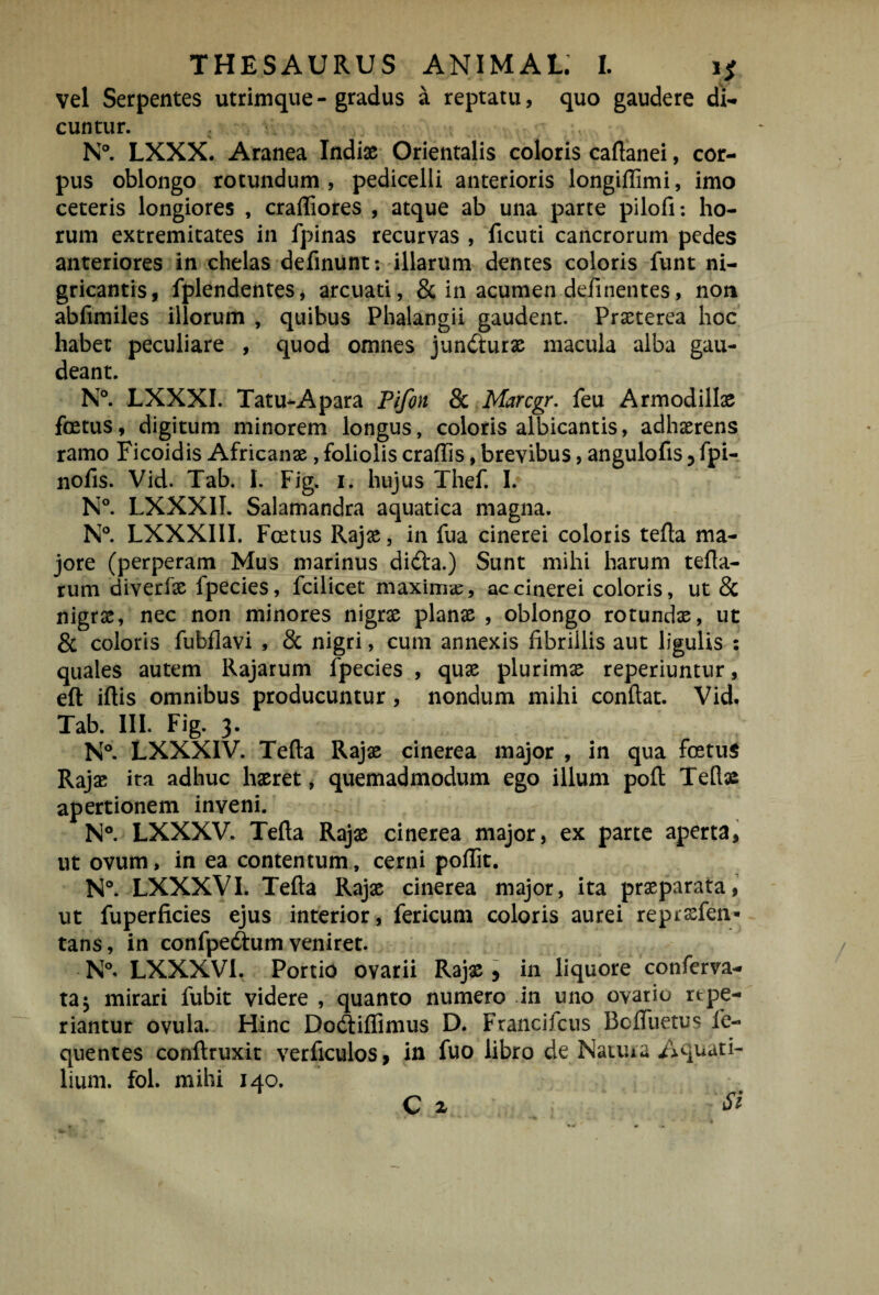 vel Serpentes utrimque - gradus a reptatu, quo gaudere di-, cuntur. N°. LXXX. Aranea Indix Orientalis coloris caflanei, cor¬ pus oblongo rotundum, pedicelli anterioris longillimi, imo ceteris longiores , crafliores , atque ab una parte pilofi; ho¬ rum extremitates in fpinas recurvas , ficuti cancrorum pedes anteriores in chelas definunt; illarum dentes coloris funt ni¬ gricantis, fplendentes, arcuati, &; in acumen definentes, non ablimiles illorum , quibus Phalangii gaudent. Praeterea hoc habet peculiare , quod omnes jundurx macula alba gau¬ deant. N°. LXXXI. Tatu-Apara Pifon & Marcgr, feu Armodilte foetus, digitum minorem longus, coloris albicantis, adhaerens ramo Ficoidis Africanae, foliolis craffis, brevibus, angulofis 3 fpi- nofis. Vid. Tab. I. Fig. i. hujus Thef. I. N°. LXXXII. Salamandra aquatica magna. N® LXXXIII. Foetus Rajae, in fua cinerei coloris tefta ma¬ jore (perperam Mus marinus didla.) Sunt mihi harum tefla- rum diverfae fpecies, fcilicet maximse, ac cinerei coloris, ut & nigrae, nec non minores nigrae planae , oblongo rotundae, ut & coloris fubflavi , & nigri, cum annexis fibrillis aut ligulis : quales autem Rajarum fpecies , quae plurimae reperiuntur, eft iftis omnibus producuntur, nondum mihi confiat. Vid. Tab. III. Fig. 3. N®. LXXXIV. Tefia Rajae cinerea major , in qua foetum Rajae ira adhuc haeret, quemadmodum ego illum poft Tefiae apertionem inveni. N°. LXXXV. Tefia Rajae cinerea major, ex parte aperta, ut ovum, in ea contentum, cerni poffit. N®. LXXXVI. Tefia Rajae cinerea major, ita pr^parata,' ut fuperficies ejus interior, fericum coloris aurei repi^fen- tans, in confpeftum veniret. N®. LXXXVI. Portio ovarii Rajae 5 in liquore conferva- taj mirari fubit videre , quanto numero in uno ovario rtpe¬ riantur ovula. Hinc Dodtiffimus D. Francilcus Befluetus fe- quentes conftruxic verficulos, in fuo libro de Naiuia Aquati¬ lium. fol. mihi 140. C X Si