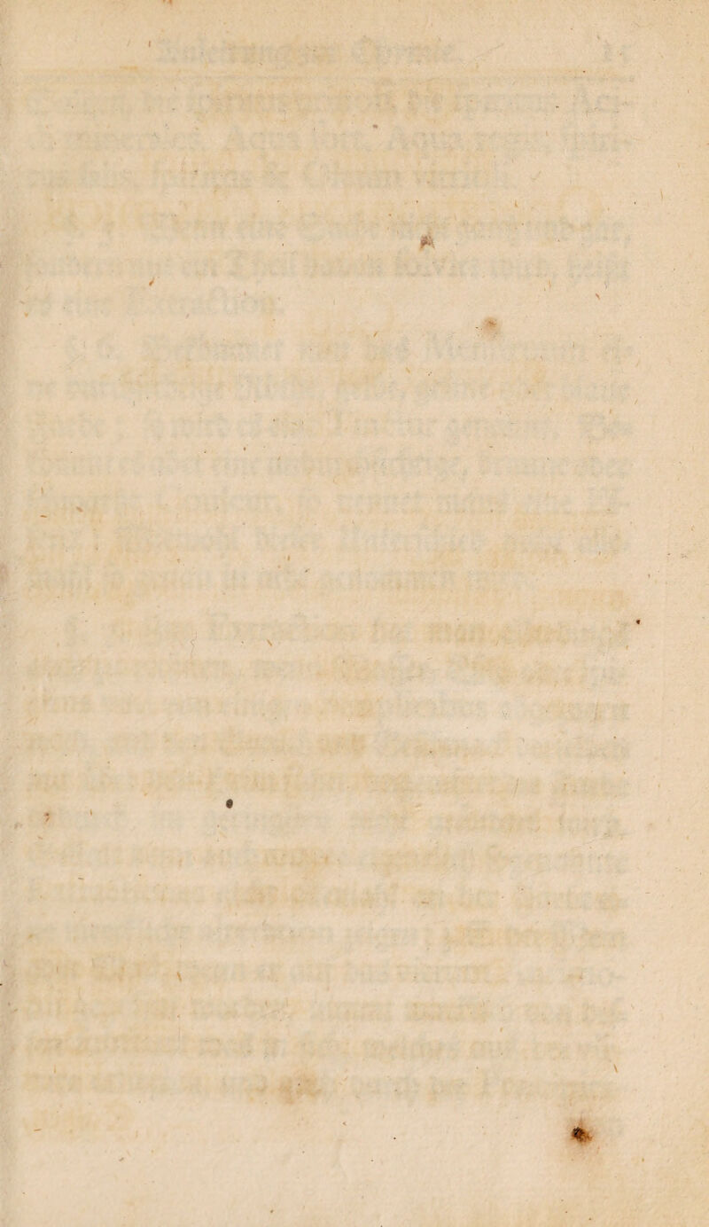 ■ • ■ - ' \ I 1 # \ ' \. \ %