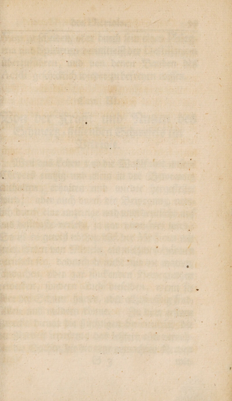 t ■ ■ ■ ' / \ / f ' ' * - y Cr ' % /