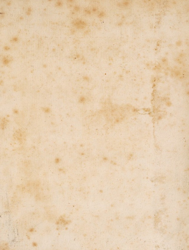 digitised image 3