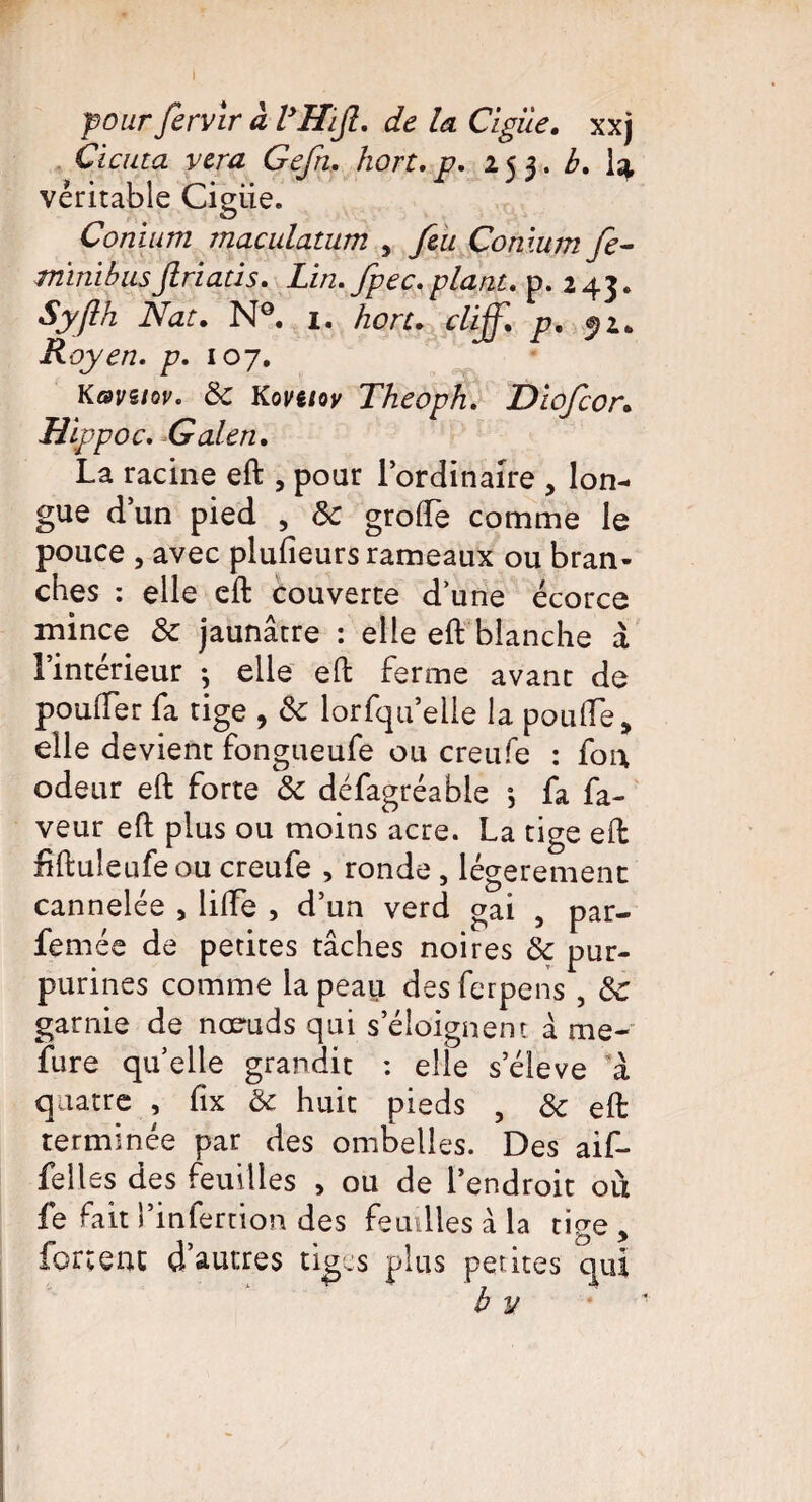 I pour fervir a VHiJl. de la Ciguë, xxj Clouta vera Gefn. hort.p. 153. b. la véritable Cigiie. Conium maculatum , feu Conium Je- mïnibusJlriads. Lin. fpec. plant. p. 243. Syfth Nat. N°. 1. hort. cliff. p. jl. Roy en. p. 107. Kœvsiov. 8c Kovuov Tkeoph. Diofcor. Hippoc. Galen. La racine eft , pour l’ordinaire , lon¬ gue d’un pied , 8c groftè comme le pouce , avec plufieurs rameaux ou bran¬ ches : elle eft couverte d’une écorce mince 8c jaunâtre : elle eft blanche à l’intérieur *, elle eft ferme avant de pouiTer fa tige , 8c lorfqu’elle la poufte, elle devient fongueufe ou creufe : foi* odeur eft forte 8c défagréa b le fa fa¬ veur eft plus ou moins acre. La tige eft fiftuîeufeou creufe , ronde, légèrement cannelée , lifte , d’un verd gai , par- femée de petites tâches noires 8c pur¬ purines comme la peau desferpens , 8c garnie de noeuds qui s’éloignent à me- fure quelle grandit : elle s’élève 'à quatre , fix 8c huit pieds 5 8c eft terminée par des ombelles. Des aif- felles des feuilles , ou de l’endroit où fe fait l’infertion des fetulles à la tige , fort eut d’autres tiges plus petites qui