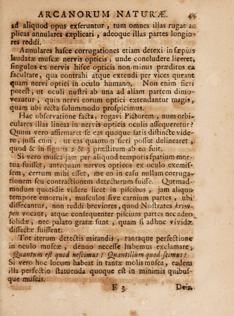 id aliquod opus cxfcruntur , tum omnes illas ruga^ ac plicas annulares explicari* j adeoque illas partes longio&gt; res reddi. Annulares hafcc corrugationes etiam detcxianfcEpius laudatae mufG.'e nervis opticis ; unde concludere liceret, ' fingulos eX'nervis hife^ opticis non^minus praediros ea facultate, qua contrahi atque extendi per vices queant quam nervi optici in oculo humano. Non enim fieri . potefV, ut oculi noftri ab una ad aliam partem dimo¬ veantur , quin nervi eorum optici extendantur magis, quam ubi refta folummodo profpicimus. Hac obfervatione fafta, rogavi Piiftorem , nuniorbi- cularcs illas lineas in nervis opticis oculis aflequeretur?^ Qiium vero affirmaret le eas quoque fatis diftinfte vide-' re, jufii eum , iit eas quantum fieri pofiot delinearet quod &amp; in figuris 2 &amp; 3 prxflitum-ab eo fuit. Si vero mufea jam per aliquod temporis fpatium mor¬ tua fuifiet, antequam nervos opticos ex oculo exemif- fem, certum mihi eiTer, me eo in cafu nullam corruga-^ tionem feu contracliohcm deteArurumfuifle.^ Q;,.ieniad°' modum quotidie videre licet in pifoibus , jam aliqua tempore emortuis, mufculos five carnium partes , ubi' diffecantur, non reddi breviores , quod Noftrates krim^ pen vocant-, atque confequenter pifeium partes nec adeo folidm, nec palato graex-funt &gt; quam fi adhuc vividae, difiectx fuifient; . Tot iterum deteftis mirandis , • t^ntaque perfeftione inoculo mufcce , dentio necefle habemus exclamare &gt; §liiantum ejt quod nefeimus !' Quantillum quod fdmtis! Si vero hoc locum habeat in tantx molis mufea, eadem illa perfeftio ftaiueuda quoque cft in minimis quibuf** que mufds. E 5, DttR’.