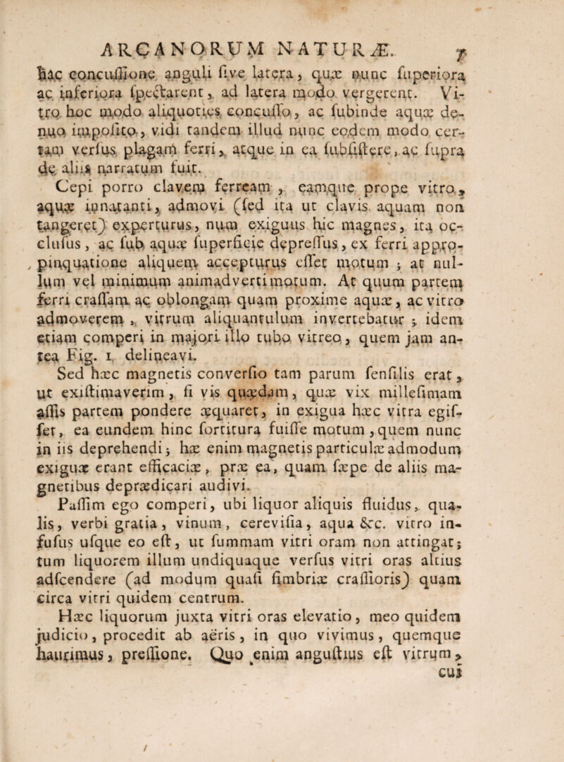 hac concuiEone anguli fi ve latera, q ux ounc fuperiora ac inferiora lp.ectare.ru , ad latera modo vergerent. Vi¬ tro hoc modo aliquoties concmTo, ac fubinde aqua: de- nuQ uupofitQr, vidi tandem illud nunc eodem modo cer¬ tam verius plagam ferri * atque m ca lubhftere, ac fupra dc aliis narratum fuit. Cepi porro clav.eru ferream eamque prope vitra * aqux lpnatanti, admovi (fed ita ut clavis aquam non tangeret} experturus, num exiguus hic magnes, ita oc- clufus , ac fuh aqua? fuperficie depreflus, ex ferri, apprq- , pmquatione aliquem accepturus e flet motum ; at nul¬ lum vel minimum animadverti motum. At quum partem ferri eradam ac oblongam quam proxime aqux, ac vitro admoverem vitrum aliquantulum invertebatur ^ idem etiam comperi in majori illo tubo vitreo, quem jam an¬ tea Fig. i, deliueavi. Sed hxc magnetis converfio tam parum fenfilis erat, ut exiftimaverim ,. li vis quxdam, qux vix millefimam alEs partem pondere apquaret, in exigua hxc vitra egif- fer, ea eundem hinc fortitura fuifle motum,quem nunc in iis deprehendi; hx enim magnetis particulx admodum exigux erant efficacix, prx ea, quam fxpe de aliis ma¬ gnetibus deprxdicari audivi, PalTim ego comperi, ubi liquor aliquis fluidus, qua¬ lis, verbi gratia, vinum, cerevifia, aqua &:c. vicro in- fufus ufque eo eft, ut fummam vitri oram non attingat; tum liquorem illum undiquaque verfus vitri oras altius adfcendere (ad modum quali fimbrix crailioris} quam circa vitri quidem centrum. Hxc liquorum juxta vitri oras elevatio, meo quidem judicio, procedit ab aeris, in quo vivimus, quemque haurimus, preflione. Quo enim anguftius eft vitrum> cui /