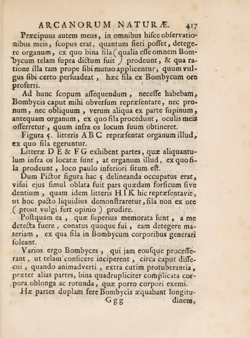 Prxcipuus autem meus, in omnibus hifce obfervatio- nibus meis, fcopus erat, quantum fieri poffet, detege¬ re organum, ex quo bina fila(qualiaefTeomnem Bom¬ bycum telam fupra diftum fuit J prodeunt, & qua ra¬ tione illa tam prope fibi mutuo applicentur* quum vul¬ gus fibi certo perfuadeat , hxc fila ex Bombycum ore proferri. Ad hunc fcopum afTequendum , neceffe habebam* Bombycis caput mihi obverfum reprxfentare, nec pro¬ num , nec obliquum , verum aliqua ex parte fupinum, antequam organum, ex quo fila procedunt, oculis meis offerretur , quum infra os locum fuum obtineret. Figura 5. litteris ABC reprxfentat organumillud* ex quo fila egeruntur. Litterae D E & FG exhibent partes, quae aliquantu¬ lum infra os locatx funt , at organum illud, ex quo fi¬ la prodeunt , loco paulo inferiori fitum eft. Dum Piftor figura hac $ delineanda occupatus erat* vifui ejus fimul oblata fuit pars quaedam forficum five dentium , quam idem litteris H 1 K hic repracfentavit * ut hoc pa£to liquidius demonftraretur, fila non ex ore ( prout vulgi fert opinio ) prodire. •Poftquam ea , qux fuperius memorata funt , a me detefta fuere , conatus quoque fui , eam detegere ma¬ teriam , ex qua fila in Bombycum corporibus generari foleant. Varios ergo Bombyces , qui jam eoufque proceffe- rant , ut telanfconficere inciperent , circa caput diffe- cui , quando animadverti , extra cutim protuberantia 9 prxter alias partes, bina quadrupliciter complicata cor¬ pora oblonga ac rotunda, qux porro corpori exemi. Hx partes duplam fere Bombycis xquabant longitu- ■G g g dinem.