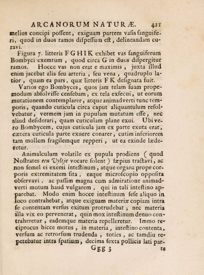melius concipi portent, exiguam partem vafisfanguife- ri, quod in duos ramos difpeflfum eft, delineandam cu¬ ravi. Figura 7. litteris FGHIK exhibet vas fanguiferum Bombyci exemtum , quod circa G in duos difpergitur ramos. Hocce vas non erat e maximis , juxta illud enim jacebat alia feu arteria , feu vena , quadruplo la¬ tior , quam ea pars, qux litteris F K defignata fuit. Varios ego Bombyces, quos jam telam fuam prope- modum abfolvifie cenfebam, ex tela exfecui, ut eorum mutationem contemplarer, atque animadverti tunc tem¬ poris, quando cuticula circa caput aliquantulum refol- vebatur, vermem jam in pupulam mutatum efle, nec aliud defiderari, quam cuticulam plane exui. Ubi ve¬ ro Bombycem, cujus cuticula jam ex parte exuta erat, extera cuticula parte exuere conarer, cutim inferiorem tam mollem fragilemque repperi , ut ea exinde lxde- retur. Animalculum volatile ex pupula prodiens ( quod Noftrates een Uyltje vocare folent} (xpius traftavi, ac non femel ei exemi inteftinum, atque organa prope cor¬ poris extremitatem (ita , eaque microfcopio oppofita obfervavi , ac partim magna cum admiratione animad¬ verti motum haud vulgarem , qui in tali inteftino ap¬ parebat. Modo enim hocce inteftinum fefe aliquo in loco contrahebat, atque exiguam materiae copiam intra fe contentam verfus exitum protrudebat * nec materia illa vix eo pervenerat, quin mox inteftinum denuo con¬ traheretur , eademque materia repelleretur. Immo re¬ ciprocus hicce motus , in materia ^ inteftino contenta, verfum ac retrorfum trudenda , toties , ac tamdiu re¬ petebatur intra fpatium, decima fexta pollicis lati par- Ggg 3 tc