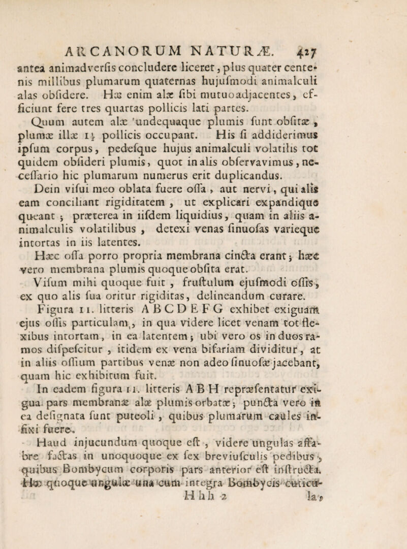 antea animadverfis concludere licerer, plus quater cente* nis millibus plumarum quaternas hujufmodi animalculi alas obfidere. Hx enim ala: fibi mutuoadjacentes, ef¬ ficiunt fere tres quartas pollicis lati partes. Quum autem alx 'undequaque plumis funt obfitx , plumx ilice pollicis occupant. His fi addiderimus ipfum corpus, pedefque hujus animalculi volatilis tot quidem obfideri plumis, quot in alis obfervavimus , nc- ceffario hic plumarum numerus erit duplicandus. Dein vifui meo oblata fuere offa , aut nervi, qui alis eam conciliant rigiditatem , ut explicari expandique queant * prxterea in lifdem liquidius, quam in aliis a- nimalculis volatilibus , detexi venas finuofas varieque intortas in iis latentes. Hxc offa porro propria membrana cinfta erant 3 hxc vero membrana plumis quoque obfita erat. Vifum mihi quoque fuit , fruftulum ejtifmodi offis, ex quo alis fu a oritur rigiditas, delineandum curare. Figura 11. litteris A B C D E F G exhibet exiguam ejus offis particulam,, in qua videre licet venam tot fle¬ xibus intortam, in ea latentem 3 ubi vero os in duos ra¬ mos difpefcitur , itidem ex vena bifariam dividitur, at in aliis offium partibus venx non adeo finuofx jacebant, quam hic exhibitum fuit. In eadem figura 11. litteris A B H reprxfentatur exi* gua pars membranx alx plumis orbatx 3 punfta vero i& ea defignata funt puteoli , quibus plumarum caules in¬ fixi fuere*,, Haud injucundum quoque efi: , videre ungulas affa¬ bre fa£tas in unoquoque ex fex breviufculis pedibus, quibus Bombycum corporis pars anterior eft inftru&a. Hsd quoque ungulo: una cum integra Bombycis ciHicu- H hh 2 !a>