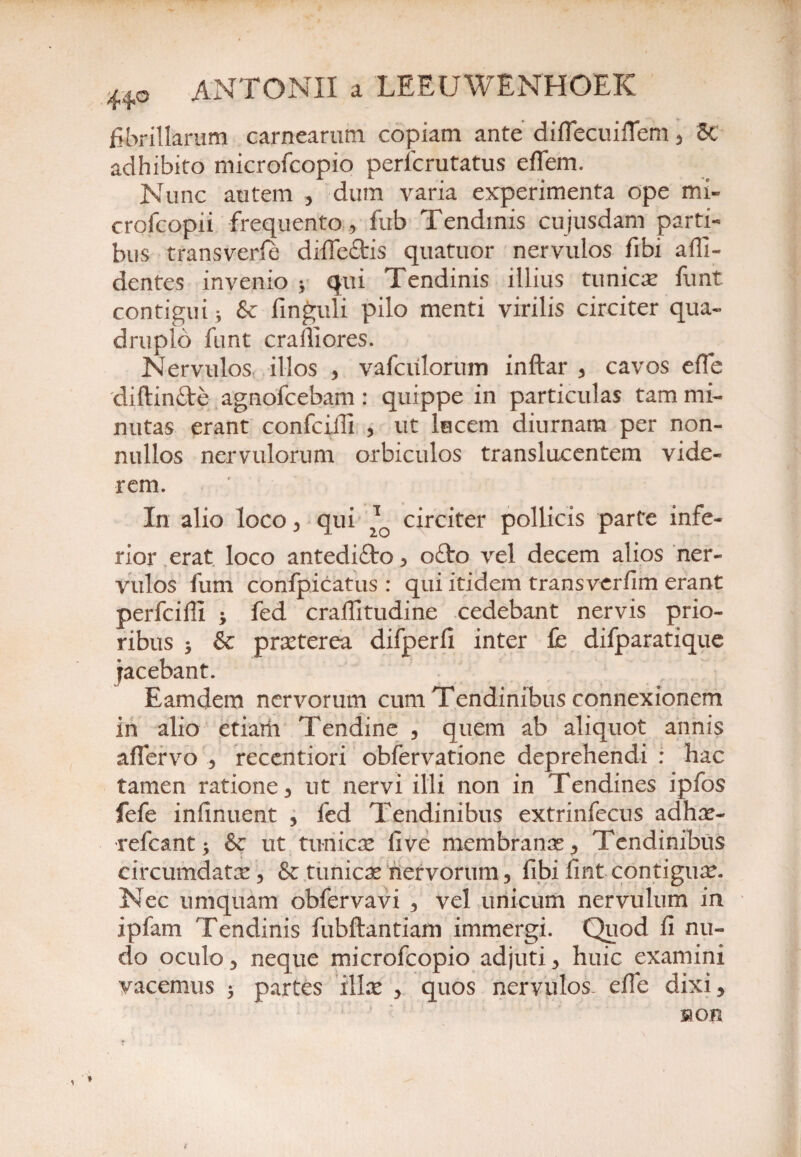 fibrillarum carnearum copiam ante diflecuiflem , 8t' adhibito microfcopio perlcrutatus eflem. Nunc autem , dum varia experimenta ope mi- crofcopii frequento, fub Tendinis cujusdam parti¬ bus transverfe diilc&is quatuor nervulos fibi alli¬ dentes invenio * qui Tendinis illius tunicas funt contigui •, &c finguli pilo menti virilis circiter qua¬ druplo funt craffiores. Nervulos illos , vafcrilorum inftar , cavos effe diftinde agnofcebam: quippe in particulas tam mi¬ nutas erant confciili , ut lucem diurnam per non¬ nullos nervulorum orbiculos translucentem vide¬ rem. In alio loco, qui 2TQ circiter pollicis parte infe¬ rior erat loco antedifto, o£to vel decem alios ner¬ vulos fum confpicatus : qui itidem transverfim erant perfciffi i fed craffitudine cedebant nervis prio¬ ribus 3 & praeterea difperfi inter £e difparatique jacebant. Eam dem nervorum cum Tendinibus connexionem in alio etiarh Tendine , quem ab aliquot annis aflervo , recentiori obfervatione deprehendi : hac tamen ratione, ut nervi illi non in Tendines ipfos fefe infinuent , fed Tendinibus extrinfecus adhas- refcant 3 &c ut tunicae five membranas, Tendinibus circumdatae, & tunicas nervorum, fibi fint contiguas. Nec umquam obfervavi , vel unicum nervulum in ipfam Tendinis fubftantiam immergi. Quod li nu¬ do oculo, neque microfcopio adjuti, huic examini vacemus 3 partes 'illas , quos nervulos, efle dixi, 51 OH