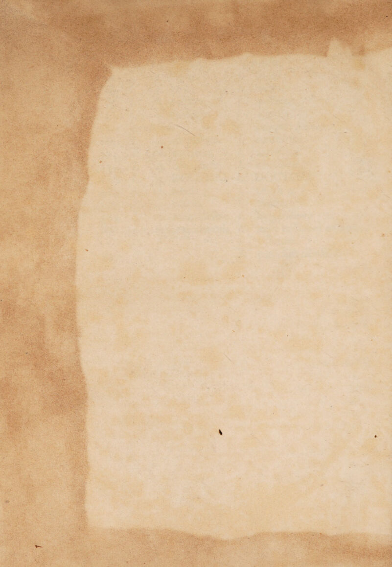 ■ ' - . ■ : - . ' ' • V. •' ' , ■ . 11 . 'SSE v. ■