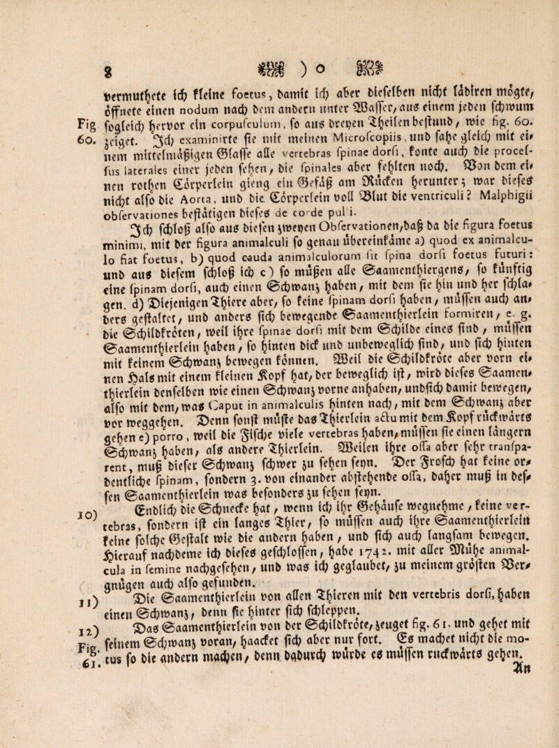 permuthete ich Meine foetus, barnit ich aber bicfelbett nicht lablrctt mogte, öffnete einen nodum nach bem anbern unter ®a!fcr,aus einem jeben fchwum Fig fogfeid; ferner ein corpufcuium, fo aus brepeti feilen bejinnb, wic^ fig. 60. 60. iciget. examinirte fte mit meinen Microfcopiis.unb fafK gleich mit ei* »em mittelmäßigen ©(affe ade vertebras fpinaedorfi, fonte auch bie procel- fiis laterales einer jeben (eben, bie fpinales aber fehlten nod). 2ßon bem ei* nett rollten ©örpcrlein gieng ein ©efäfj am SMcfen fjerunter; mar biefes nid?t aifo bie Aorta, unb bie ©erperfein rofl SSlut bie ventriculi? Malphigii obfervationes betätigen btcfeö de co 'de pul i. fdbtofj aifo «US biefen sroepen Obfcrvationen/ba^ ba bie figura foetus fninims, mit ber figura ammalculi fo genau ttbereinfäme a) quod ex animalcu- lo fiat foetus, b) quod oauda animilculorum (lt fpina dorb foetus futuri: unb aus biefem fchlofj Ich c) fo mitten ade BaamenChiergens, fo funfug eine fpinam dorli, au* einen Bdjwanj fjaben/ mit bem fte hin unb her fcf^ia» aen d) diejenigen'i^iere aber/ fo feine fpinam dorli haben, muffen auch an* btrs grfialtet, unb anbers ftch bewegenbe Baamenthierlein formiren/ e_g. bie Bchilbfreten, »eil if;re fpinae dorli mit bem Bd;iibe eines ftnb , muffen ©aamentbieriein haben, fo hinten bief unb unbeweglich ftnb, unb ft* Ritten mit feinem Bchwanj bemegen fönnen. 3Bei( bie B*tTbfrötc aber Porn ei* nen Öaismit einem «einen ßopf ^at,bcr beweglich i|t, wirb biefes Baamen* tbierlcin benfeiben »ie einen B*»ati5 porne anhaben, unbftd; bamit bewegen, aifo mit bem, was Caput in animalcuiis hinten nad;, mit bem Bd;»an$ aber »or »eggefien denn fonjf muffe baslijieriein aftumit bem £opfruefwärts geben e) porro, »eil bie glfd;e Piete vertebras haben, muffen fte einen langem Bdjwatti haben, als anbere ^iertein. SBeilen ihre o(Ta aber fcfjr tranfpa- rent, mujj bitf« @<h»an$ fd)»tß 5U f«f}cn f‘Pn- ®er 8rcfä> fcat fcinc or/ bcntliche fpinam, fonbern 3.P011 einanber abjfcfjenbe olfa, baljet muff in bef« fen Baamenthierlein was befonbers ju fe^en fepn. , gnblid; bie Bcfmecfe hat, wenn id; if» ©ehäufe »egnehme, feine ver- tebras, fonbern ij! ein langes ?hier, f° «^ff™ aud? «hre Baamenthierleirt feine fol*c ©cffalt »ie bie anbern haben, unb ftch auch fangfam bewegen, hierauf nachbeme ich biefes gefchloffen, ^abe 174 t. mit ader Sfuhe animal- cula in femine nachgefehen, unb was ich geglaubct, ju meinem gro|fcn Söcw gnügen auch aifo gefunben. . , r £ , jN ©je Baamenthierlcin Pon allen gieren mit ben vertebris dorli, haben einen @d)»ans, bennpe hinter ftch f*leppen. 2X das Baamenthierlein pon berB(J)ilbfi-ote,ieugetfig.6r.unb gehet mit feinem Bd;»anj Poran, fjaaefet ftch aber nur fort, ©s machet nicht bie mo- V?' tus fo bie anbern mach««/ benn bgbnvth tPtSrbe es muffen ritefwarts gehen. ©J* 1 OTm