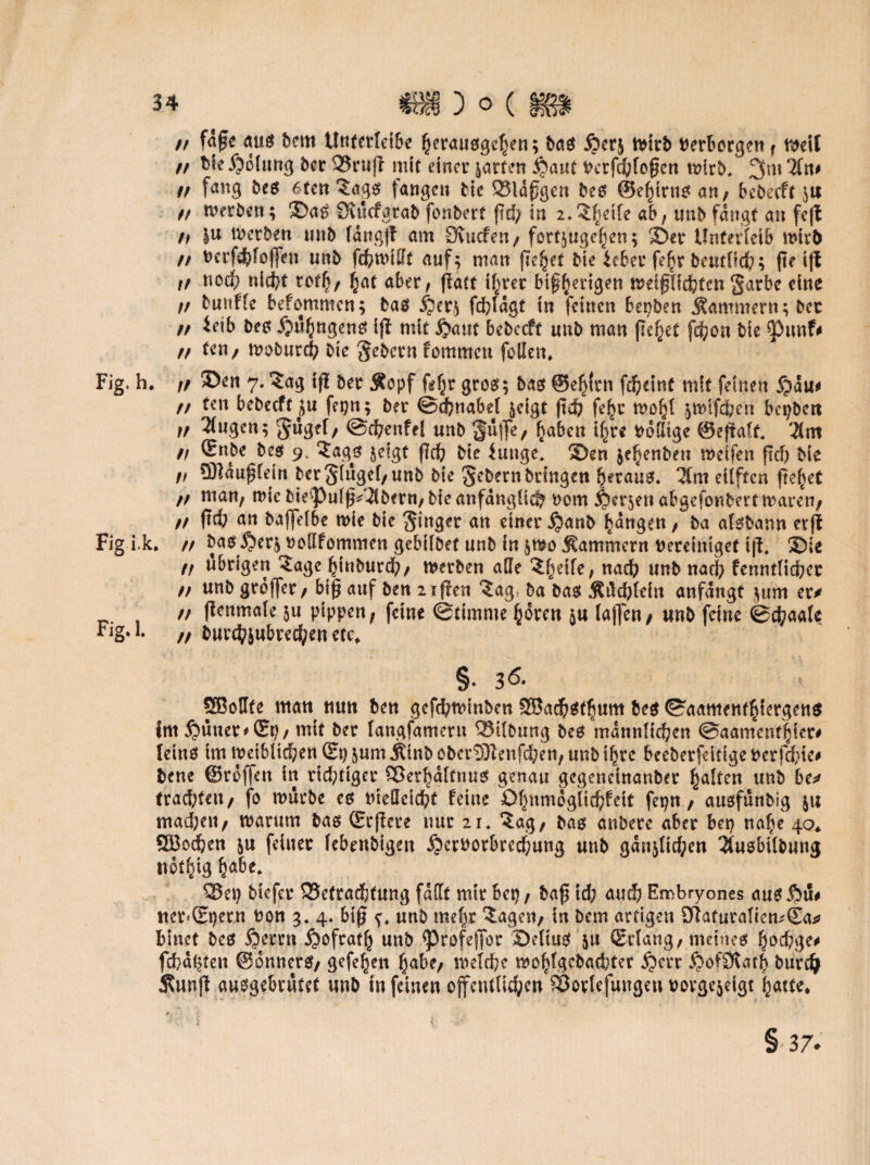 n f<5£e bem ttnferleibe herausgehen; bas $cr$ tvitb Verborgen f n>elt // t>ie Rötung bcr 3?ruj! mit einet: garten jjaut Verfcl&fogcn wirb, 3m %tv n f<mg öe$ 6*en 3ags fangen fcte 531afgen bes ©ehtrns an; bebeeft $u // werben; ©aS CKucfgrab fonbert jtd; in 2. Steife ab f unb fangt an feil tt werben tinb fangj! am Ovucfen/ fortjugefjen; Ser Unterleib wirb // feerfsbfoffen unb fchwillt auf; mau fielet bie lebet* fe^r beutOdf;; fte ift tf noch nicht tofh/ §at aber, ffatt ihrer bisherigen wetpehfen Sarbe eine t/ butiffe befommen; bas $er; fdfeldgt in feinen bet)ben Kammern; bet ff leib bes ijuhngens ig mit £>aut bebccft tmb man ficket fchon bie ^>unf# ff ten/ woburch bie Sehern fommcu feilen, Fig. h. tf ©en 7.5ag ifl ber Äopf f?hr gros; batet ©e^lrn fd&eint mit feinen fpäu* ff ten bebccft;« fet)n; ber ©tfenabel £eigt (teh fe^c wohl $tt>ifd?en bepbett // 3i«g^n; $«8^/ @chenfel unb r^ufTe/ ^aben ihre ttolügc ©eftalf. 3Cm /I (Enbe bes 9. ?ggs jeigt (leb bie Junge, ©en jehenben weifen fid) bie // Sßduglein ber Singel/unb bie Sehern bringen heraus. 2tm eilften fte^et ff man, wie bte^)ulß^bern/ bie anfänglich nom j^erjen abgefonbert waren/ ff ftth an baffelbe wie bie Singer att einer $anb fangen / ba aisbann erft Fig i.k, ff basßerj twßfommen gebilbet unb in $wo Kammern bereiniget ifi, ©ie ff übrigen ^age hinburd)/ werben alle 5l}dle, nach nnb nach fenntficher ff unb groffet/ big auf ben 2if?en ?ag; ba bas Äilchfeitt anfdngt ;um er* ff genmale ju pippen; feine ©timnwhören ja lagen/ unb feine ©chaalc ff burchiubrechen etc, §* 3Ö. Sßollte itt«n nun ben gefd;winben SBachsthum be$ ©aamenthiergens int £muer* (Et)/ mit ber langfamern Gilbung bes männlichen ©aamentfiier# Iciuö im Weiblichen (St) ^um jtinb eberSJlenfchen/ unb ihre beeberfdtige verfehle# bene ©roffett in richtiger ^öet^dlcnuet genau gegeneinanber halten unb be* trad;tett/ fo würbe es vielleicht feine ßhnmogüchfeit fepn / ausfunbig $u machen/ warum bas (Erflere nur 21. £ag/ bas anbere aber bei) nahe 40* QBsd&en $u feiner lebenbigen .f?ervorbred;ung unb gdndtd;en 2Uisbü&ung nothig hÄ&e* QJet) Mefer ^Betrachtung fallt mir bet) / hag td; auch Embryones aus $u# ttcr*(Et)ern von 3. 4, big unb mehr ^agett/ in bem artigen DlatutalicmSa* bittet bes §errn ^ofrath unb <Profegor ©eltus ju (Erlang/ meines hochge# fchd^teu ©onnerS/ gefeheu habe/ welche wohlgcbadyter Spm §of0tath burdj Äunjg ausgebrutet tmb in feinen öffentlichen fÖorlefungeu oovgejeigt hatte. §37.