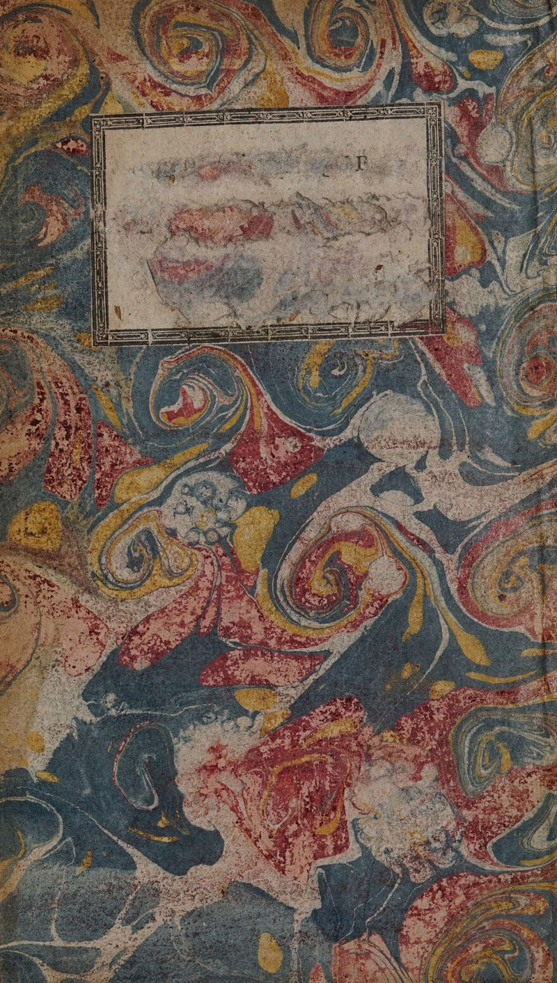 No text description is available for this image