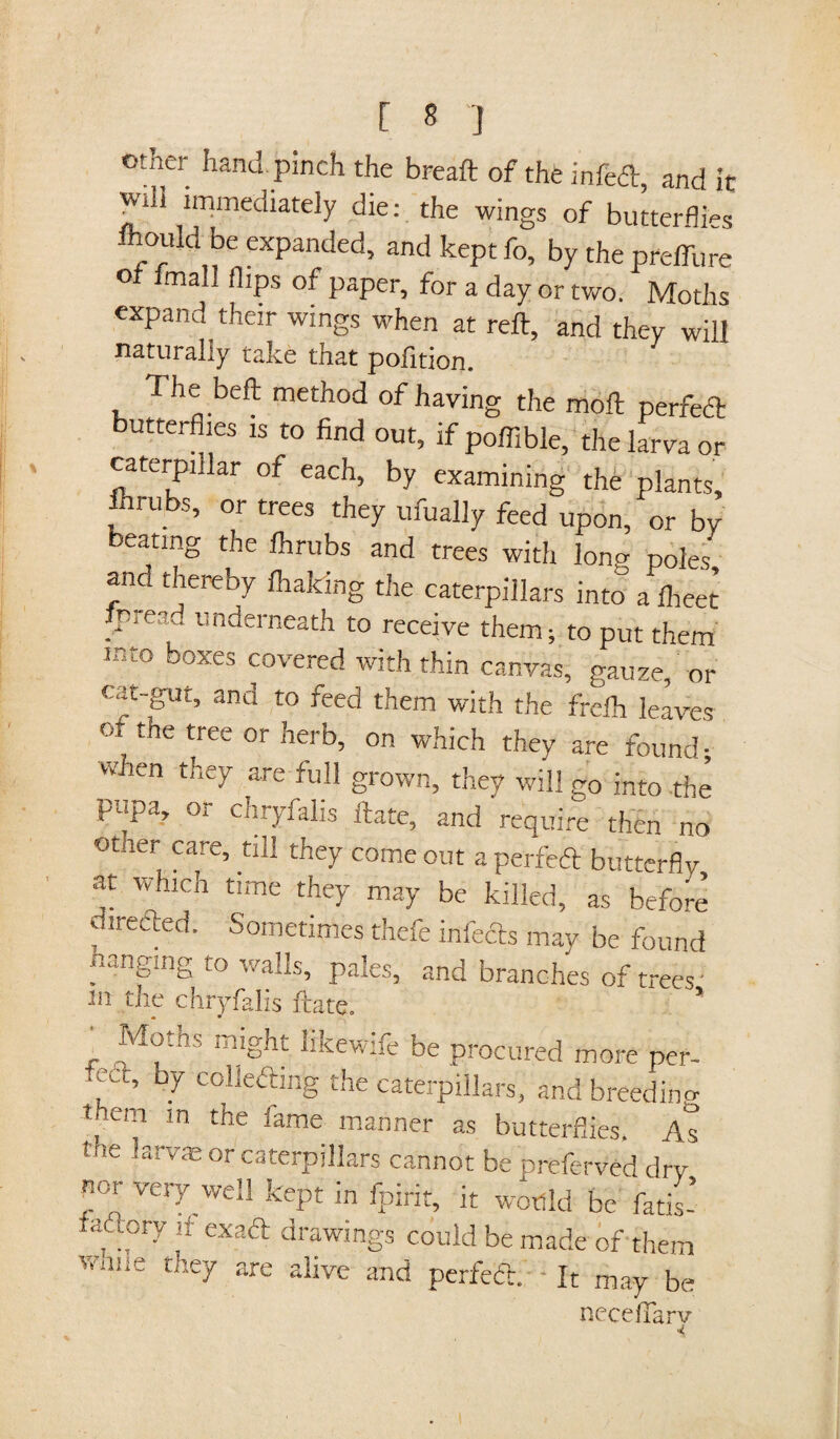 other hand, pinch the breaft of the infed, and it will immediately die: the wings of butterflies fhould be expanded, and keptfo, by the preffure oi fmall flips of paper, for a day or two. Moths expand their wings when at reft, and they will naturally take that pofition. The beft method of having the moft perfed butterflies is to find out, if poffible, the larva or caterpillar of each, by examining the plants. In rubs, or trees they ufually feed upon, or by beating the flirubs and trees with long poles and thereby ihaking the caterpillars into a flieet iprea... underneath to receive them; to put them into boxes covered with thin canvas, gauze, or cat-gut, and to feed them with the frefh leaves of the tree or herb, on which they are found ; when they are full grown, they will go into the P«pa, or chryfalis ftate, and require then no other care, till they come out aperfed butterfly at which time they may be killed, as before direded. Sometimes thefe infeds may be found Hanging to walls, pales, and branches of trees • m the chryfalis ftate. ' ns rniS}lt bkewife be procured more per- met, by colleding the caterpillars, and breeding them in the fame manner as butterflies. As the larvae or caterpillars cannot be preferred dry nor Very well kept in fpirit, it would be fatis- . adory it exad drawings could be made of them v.rii.e they are alive and perfed. * It may be neceftarv