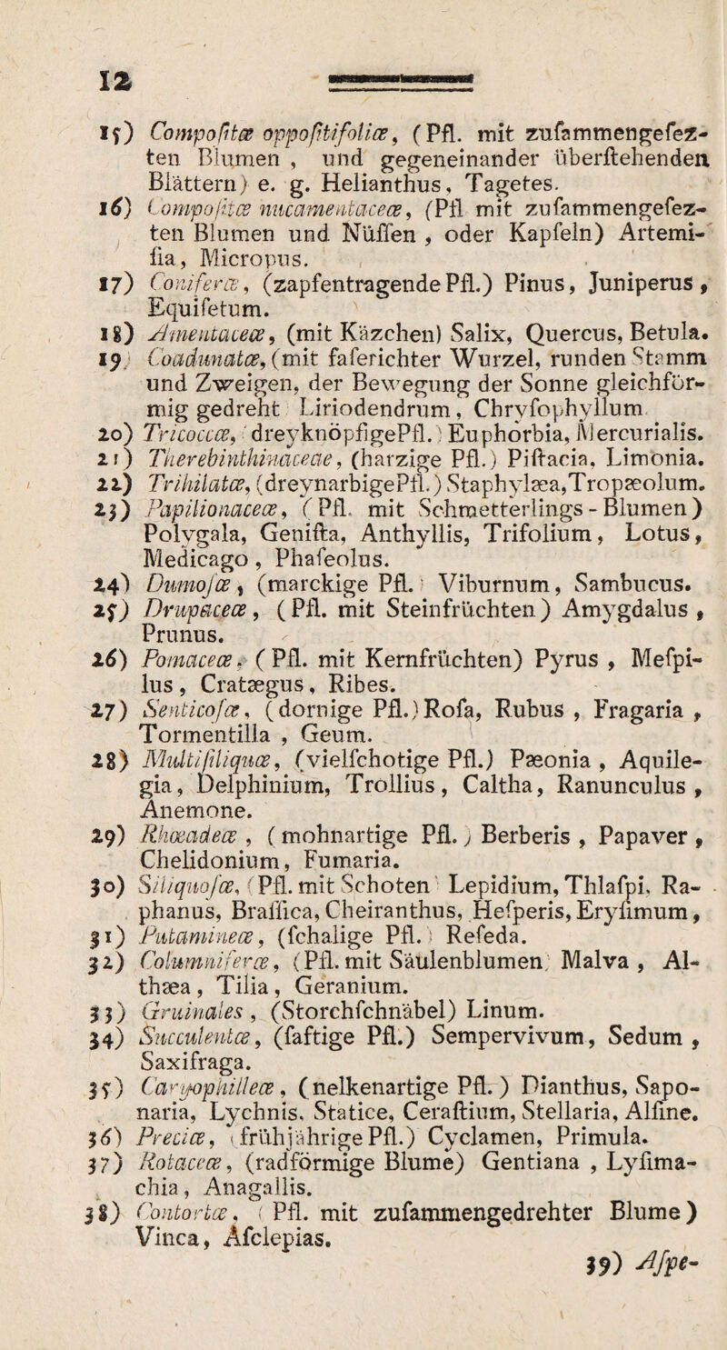 if) Compoßta oppoßtifolice, (Pfl. mit zufammengefez- ten Blumen , und gegeneinander überftehenden Blättern) e. g. Helianthus, Tagetes. 16) Lompofites nucamentacece, (Pli mit zufammengefez- ten Blumen und Nullen , oder Kapfeln) Artemi- lia, Micropns. 17) Conifercb, (zapfentragendePfl.) Pinus, Juniperus, Equi fetum. 18) Ament acece, (mit Käzchen) Salix, Quercus, Betula. 19 Coadunatce, (mit faferichter Wurzel, runden Stamm. und Zweigen, der Bewegung der Sonne gleichför¬ mig gedreht Liriodendrum, Chrvfophyllum 20) Tricoccce, dreyknÖpflgePfl.) Euphorbia, Mercurialis. 2f) Tkerebinthimceae, (harzige Pfl.) Piftacia, Limonia. 22) Trihilatty (dreynarbigePll.) Staphvlsea,Tropseolum. 23) Papilionacece, (Pfl. mit Schmetterlings - Blumen) Polygala, Genifta, Anthyllis, Trifolium, Lotus, Medicago, Phafeolus. 24I Dumojce, (marckige Pfl. Viburnum, Sambucus. if) Drwpacece, (Pfl. mit Steinfrüchten) Amygdalus, Prunus. 26) Pomacece. ( Pfl. mit Kernfrüchten) Pyrus , Mefpi- lus , Crataegus, Ribes. 27) Senticofce, (dornige Pfl.)Rofa, Rubus , Fragaria , Tormentilla , Geum. 28) JVhdtißliquee, (vielfchotige Pfl.) Paeonia , Aquile- gia, Delphinium, Trollius, Caltha, Ranunculus, Anemone. 29) Rhoßade'ce , (mohnartige Pfl. j Berberis , Papaver , Chelidonium, Fumaria. |o) Siliquofce, - Pfl. mit Schoten Lepidium, Thlafpi. Ra¬ phanus, Braffica, Cheiranthus, Hefperis, Erynmum, 31) Putaminece, (fchalige Pfl. 1 Refeda. 30 Columniferce, (Pfl. mit Säulenblumen; Malva , Al¬ thaea , Tilia, Geranium. 33) Gruinal.es , (Storchfchnäbel) Linum. 34) Succulentae, (faftige Pfl.) Sempervivum, Sedum, Saxifraga. 3?) CaryophillecB, (nelkenartige Pfl. ) Dianthus, Sapo- naria, Lychnis. Statice, Ceraftium, Stellaria, Alfine. $6) Precice, 1 frühjährige Pfl.) Cyclamen, Primula. 37) Rotacece, (radförmige Blume) Gentiana , Lyfima- chia, Anagallis. 38) Contorice, ( Pfl. mit zufammengedrehter Blume) Vinca, Afclepias. )?) njfe-