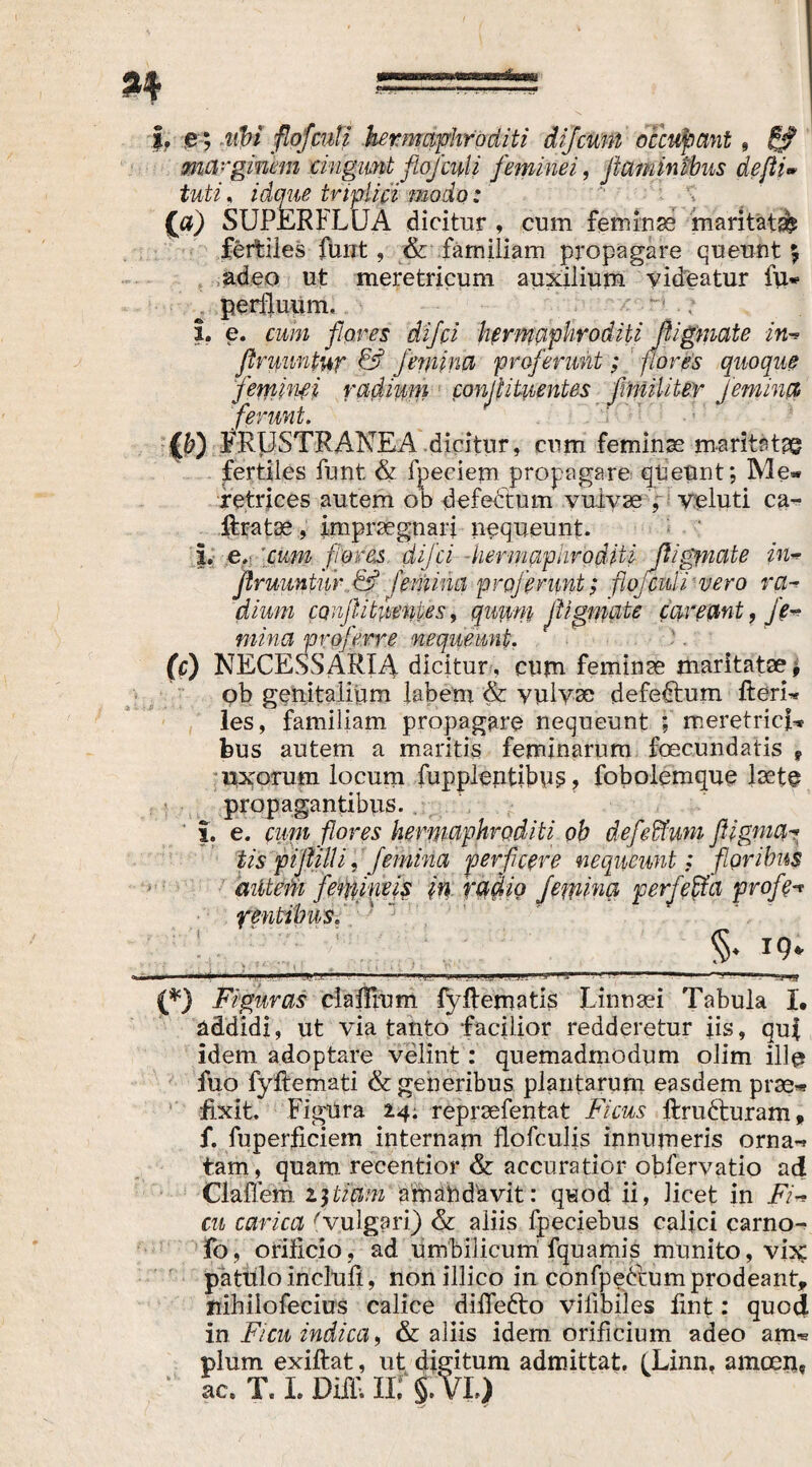 L $; iibi fiofcnli hermaphroditi diflcum occupant, £# marginem cingunt floflapli feminei, flaminibus dejli* tuti. triplici modo; (#) SUPERFLUA dicitur , cum feminas maritati fertiles funt, & familiam propagare queunt 5 adeo ut meretricum auxilium videatur fu* perfluum, 1. e. cum flores difci hermaphroditi fligmate in.<* flrmmtur & femina proferunt; flores quoque feminei radium conjtituentes f militer flemina ferunt. {&) FRUSTRANEA dicitur, cum feminas maritat^ fertiles funt & fpeciem propagare queunt; Me« retrices autem ob defectum vulvae , yeluti ca- ilratoe, impraegnari nequeunt. 1. e, 'cum flores difci -hermaphroditi fligmate in* flrmmtur,& femina profenmt; fiuflcitii vero ra¬ dium CQiifl i tuentes, quum fligmate careant, fe¬ mina proferre nequeunt. (c) NECESSARIA dicitur, cum feminas maritatae 9 ob genitalium labem & vulvae defeftum flerim les, familiam propagare nequeunt ; meretrici* bus autem a maritis feminarum foecundatis f uxorum locum fupplentibus ? fobolemque laete propagantibus. ' 1. e. cum flores hermaphroditi ob defeffium fligma-* tis piflilli, flemina perficere nequeunt: floribus mitem femineis in radio flemina perfleffia profer rentibush ‘ 7 . \ §. 19. (*) Figuras cl a filum fyfiematis Linnaei Tabula I. addidi, ut via tanto facilior redderetur iis, qui idem adoptare velint : quemadmodum olim ille fuo fyftemati & generibus plantarum easdem pras* fixit. Figura 2.4; repraefentat Ficus flrrudturam, f. fuperficiem internam flofculis innumeris orna* tam, quam recentior & accuratior obfervatio ad Claffem i}tiam amabdavit: quod ii, licet in Fi™ cu carica ''vulgari) & aliis fpeciebus calici carno- fo, orificio, ad umbilicum fquamis munito, vix patulo inclufi, nonillico in confpebcum prodeant, tiihilofecius calice dififefro viiibiles fint: quod in Ficu indica, & aliis idem orificium adeo am* pium exiftat, ut digitum admittat. (Linn. amcen? ac. T. L Diffi Ii: §. VL)