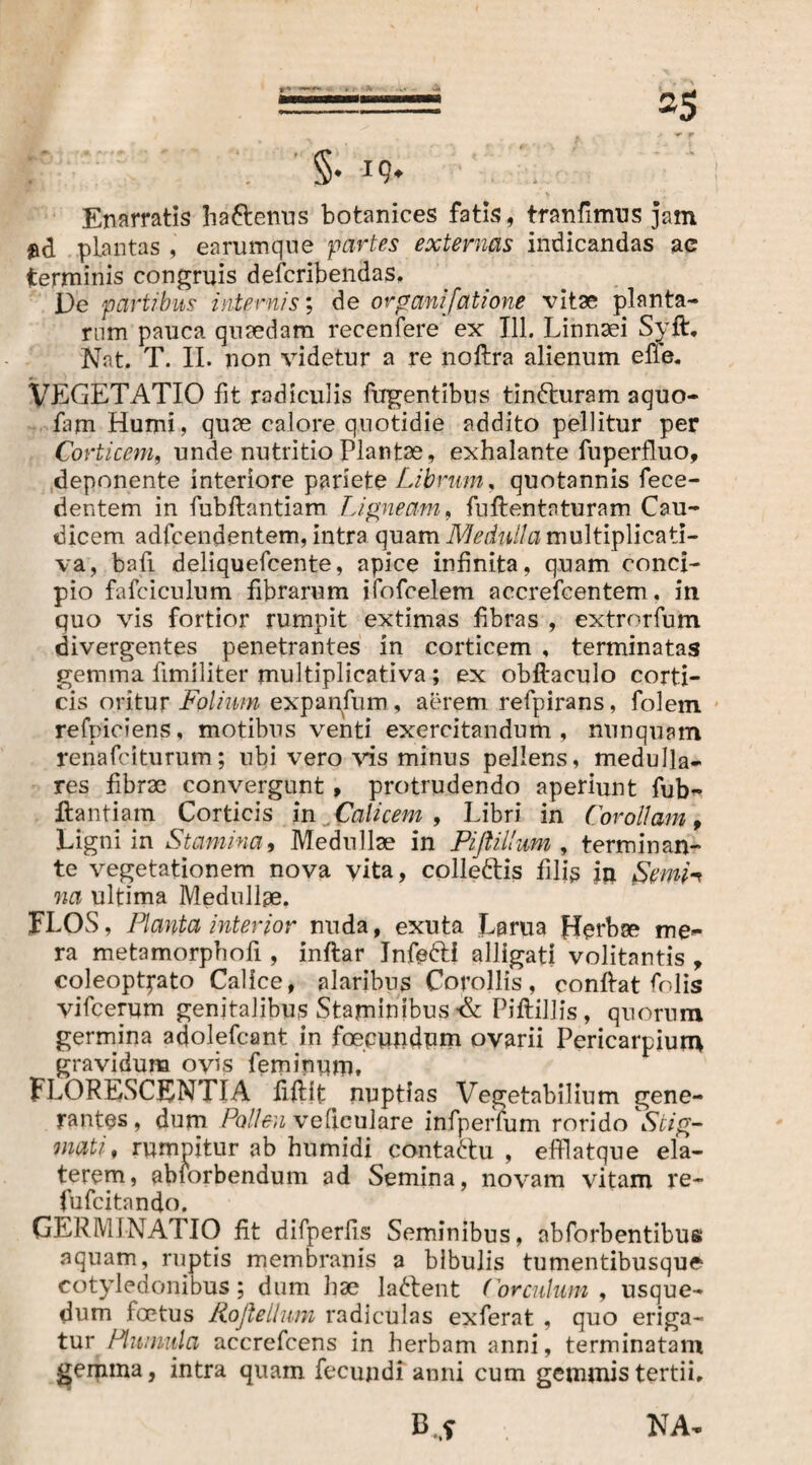 §• I(5* Enarratis ha&enus botanices fatis, tranfimus jam »d plantas , earumque partes externas indicandas ac terminis congruis defcribendas. De partibus internis', de organifatione vitae planta¬ rum pauca quaedam recenfere ex 111. Linnaei Syft. Nat. T. II. non videtur a re noftra alienum eile. VEGETATIO fit radiculis lugentibus tinfturam aquo- fam Humi, quae calore quotidie addito pellitur per Co rticem, unde nutritio Plantae, exhalante fuperfluo, deponente interiore pariete Librum, quotannis fece- dentem in fubftantiam Ligneam, fuftentaturam Cau¬ dicem adfcendentem, intra quamM^7i//amultiplicati- va, bafi deliquefcente, apice infinita, quam conci¬ pio fafciculum fibrarum ifofcelem accrefcentem. in quo vis fortior rumpit extimas fibras , extrorfum divergentes penetrantes in corticem , terminatas gemina fimiliter multiplicativa; ex obftaculo corti¬ cis oritur Folium expanfum, aerem refpirans, folem refpiciens, motibus venti exercitandum, nunquam renafciturum; ubi vero vis minus pellens, medulla¬ res fibrae convergunt, protrudendo aperiunt fub¬ ftantiam Corticis in Calicem, Libri in Corollam, Ligni in Stamina, Medullae in Pifiillum , terminan¬ te vegetationem nova vita, colle&is filis in Semh na ultima Medullae. FLOS, Planta interior nuda, exuta Larua Herbae me¬ ra metamorphofi, inftar Jnfe&i alligati volitantis , coleoptfato Calice, alaribus Corollis, conftat folis vifcerum genitalibus Staminibus ■& Piftillis , quorum germina adolefcant in foepundum ovarii Pericarpium gravidum oyis feminum. FLORESCENTIA fiftft^ nuptias Vegetabilium gene¬ rantes, dum Pollen veficulare infperfum rorido Stig¬ mati, rumpitur ab humidi contaHu , efflatque ela- terem, abiorbendum ad Semina, novam vitam re- fufcitando. GERMINATIO fit difperfis Seminibus, abforbentibus aquam, ruptis membranis a bibulis tumentibusque cotyledonibus; dum hae ladtent Porculum , usque- dum foetus Roßeilum radiculas exferat , quo eriga¬ tur^ Plumula accrefcens in herbam anni, terminatam gerania, intra quam fecundi anni cum gemmis tertii. NA-