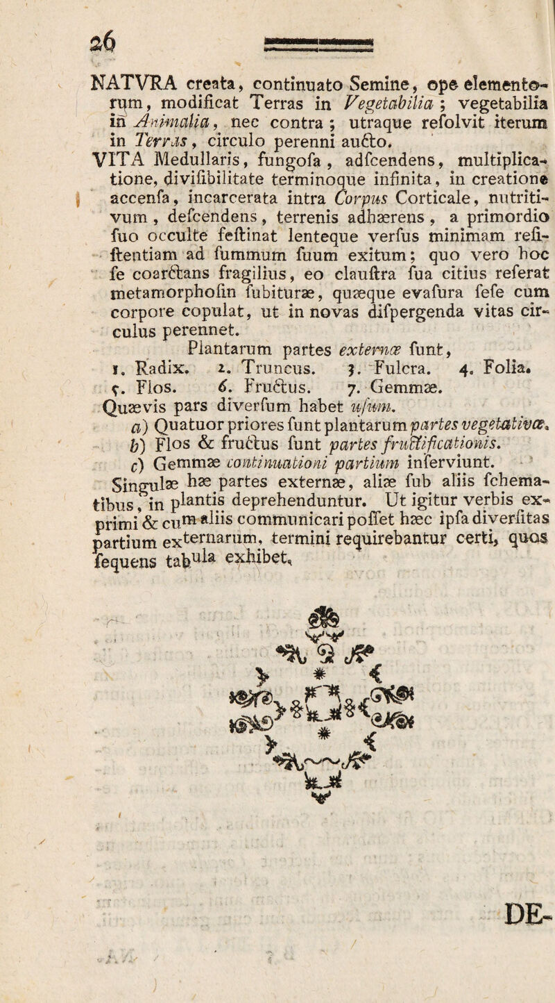 ] 2,6 NATVRA creata, continuato Semine, ope-elemento¬ rum, modificat Terras in Vegetabilia ; vegetabilia in Animalia, nec contra ; utraque refolvit iterum in Terras, circulo perenni au£to. VITA Medullans, fungofa , adfcendens, multiplica¬ tione, divifibilitate terminoque infinita, in creatione | accenfa, incarcerata intra Corpus Corticale, nutriti- vum , defcendens , terrenis adhaerens , a primordio fuo occulte feftinat lenteque verfus minimam refl- ftentiam ad fummum fuum exitum; quo vero hoc fe coar&ns fragilius, eo clauftra fua citius referat metamorpholin fubiturae, quaeque evafura fefe cum corpore copulat, ut innovas difpergenda vitas cir~ culus perennet. Plantarum partes externoe funt, i. Radix. 2. Truncus. Fulcra. 4. Folia* Flos. 6. Fruftus. 7. Gemmae. Quaevis pars diverfum habet ufwm. a) Quatuor priores funt plantarum partes vegetative?* b) Flos & fruftus funt partes fructificationis. c) Gemmae continuationi partium inferviunt. Singulae hse partes externae, aliae fub aliis fchema- tibusin plantis deprehenduntur. Ut igitur verbis ex- primi’& cum aliis communicari pofTet haec ipfadiverfitas partium externamm’ termini requirebantur certi, quos fequens tabu^a exhibet. 'n- > < kk St* DE-