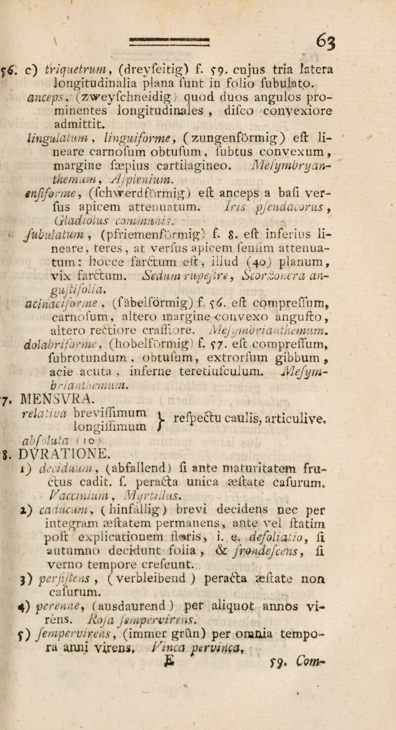 I c) triquetrum, (dreyfeitig) f. ^9. cujus tria latera longitudinalia plana funt in folio fubulato. anceps, (zweyfchneidig; quod duos angulos pro¬ minentes longitudinales , difeo convexiore admittit* lingulatum, linguiforme, (zungenförmig) eft li¬ neare carnofum obtufum, fubtus convexum, margine fcepius cartilagineo. Mefymüryan- tkemum, Ajplenium. enfifonne, (fchvr erdförmig) eil anceps a bafi ver- fus apicem attenuatum. Ins pjeudacorus, Gladiolus comiminis. • fubiäatwm, (pfriemenförmig) f. S. eft inferius li¬ neare, teres, at verius apicem feniim attenua¬ tum: hoece far6tum eil, illud (40) planum, vix farclum. Sedum rupeßre, Scorzouera an- g uj lij oha» acinaciforme , (fäbelförmig) f $6. eil comprefinm, carnofum, altero margine convexo angulto, altero rettiore cralilore. Mejymbrianthemiim. dolabriforme, (hobelförmig) f. 97. eil comprefTum, fubrotundum , obtufum, extrorfum gibbum, acie acuta , inferne teretiuicuium. Mefym- briadtUmiinn. rela/iua brevilfimum \ refpe6lu caulis, articulive. longiiiumun / abf ’luta < 1 o > 8. DVRATIONE. 1) deciduum, (abfallend) fi ante maturitatem fru¬ ctus cadit, f. peradla unica milate cafurunn ■ Vaccinium, Myrtillns, i) caducum, (hinfällig) brevi decidens nec per integram, aeflatem permanens, ante vel ftatim poli explicationem fl«ris> i. e. defoliatio, ii, autumno decidunt folia , & fromejcens, fi verno tempore crefcunt. 3) perftitens , (verbleibend ) peradta sellate non calurum. 4) perenne, (ausdaurend) per aliquot annos vi¬ rens. Roja jempervirens» f) fempervirens, (immer grün) per omnia tempo¬ ra anni virens, Pinea pervincet, £ Sy. Com- 1