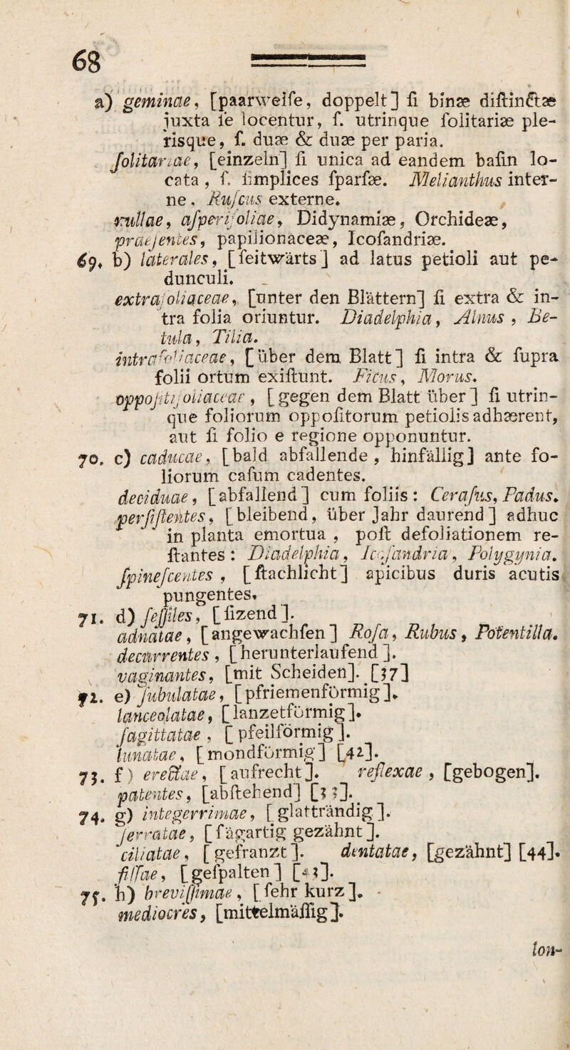 a) geminae, [paarweife, doppelt] 11 binse diftindtae juxta le locentur, f. utrinque folitarise ple- risque, f. duae & duae per paria. Jolitanae, [einzeln] fi unica ad eandem balin lo¬ cata , f. limplices fparfae. Melianthus inter¬ ne . Rujcus externe» rutlae, a/perifoiiae , Didynamiae, Orchideae, pr oie jentes, papilionaceae, Icofandriae. 69. b) laterales, [feitw'ärts] ad latus petioli aut pe¬ dunculi. extrajoliaceae, [unter den Blättern] li extra & in¬ tra folia oriuntur. Diadelpkia, Alnus , Be¬ tula, Tilia. jntrafoliaceae, [über dem Blatt] fi intra & fupra folii ortum eliltunt. Ficus, Morus. 0ppojitjoiiaceae , [gegen dem Blatt über] 11 utrin- que foliorum oppofitorum petiolis adhaerent, aut fi folio e regione opponuntur. 70. c) caducae, [bald abfallende, hinfällig] ante fo¬ liorum cafum cadentes. deciduae, [abfallend] cum foliis : Cerafus, Padus. perfifieMes, [bleibend, über Jahr daurehd] adhuc in planta emortua , poli defoliationem re- llantes : Diadelphia, Iccfandria, Polygynia, jpine/ceutes , [ftachlicht] apicibus duris acutis pungentes» 71. d)feßlles, [fizend]. adnatae, [ angewachfen ] Roja, Rubus, Potentilla. decurrentes, ['herunterlaufend]. vaginantes, [mit Scheiden]. [57] fl. e) jubulatae > [pfriemenformig]» lanceolatae, [lanzetfürmig]. fagittatae , [ pfeilförmig ]. lunatae, [mondfürmig] [42.]. 75. f) eredtae, [aufrecht]. reflexae, [gebogen]. patentes, [abftehend] [$?].. 74. g) integerrimae, [ glatträndig]. J erratae, [ f ägartig gezähnt ]. ciliatae, [gefranzt]. dentatae, [gezähnt] [44]« fi/Tae, [gefpalten ] [- ?]• n- i) * revißimae, [fehr kurz], • mediocres, [mittelmäßig ]. Ion-