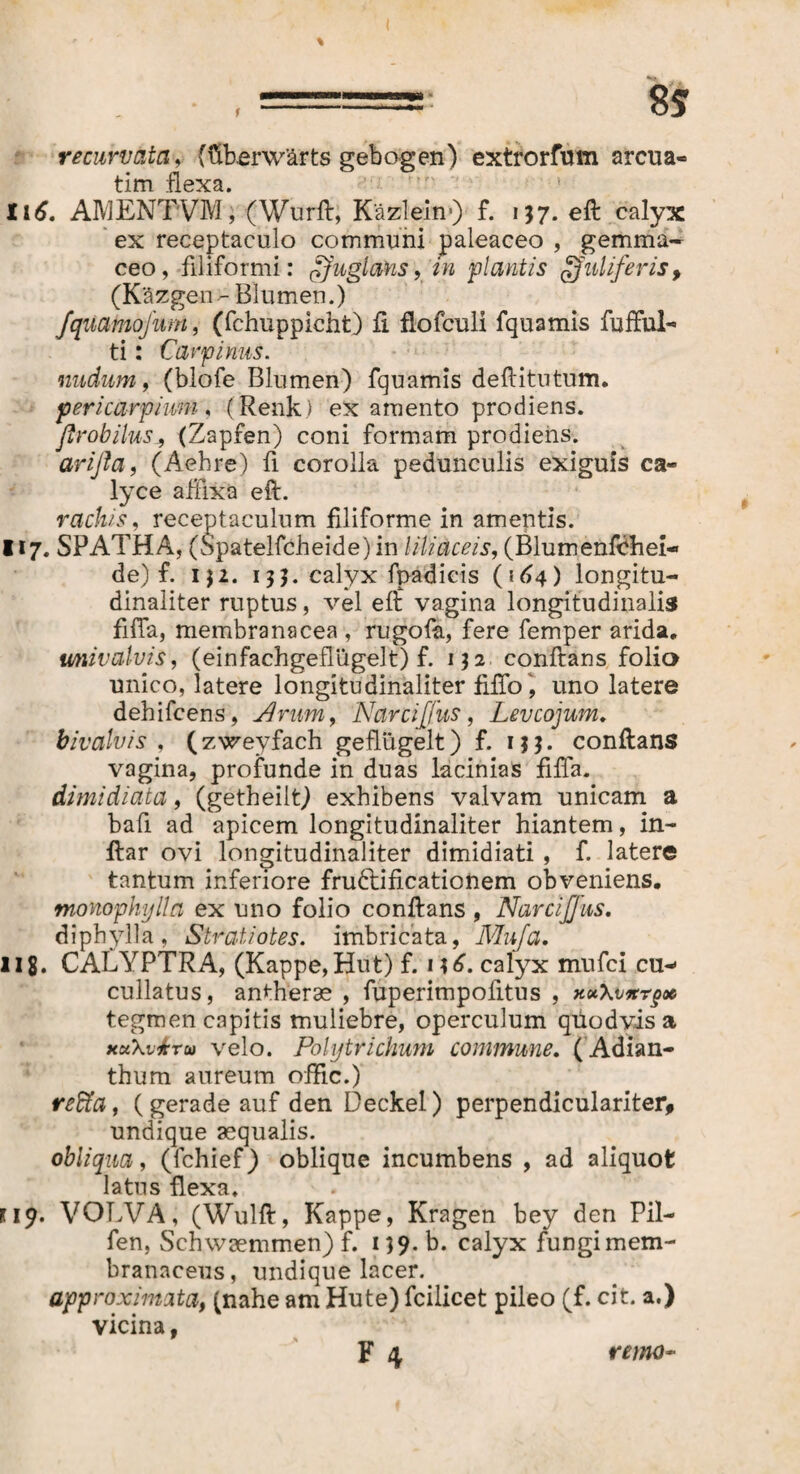 recurvata, (üherwärts gebogen) extrorfum arcua« tim flexa. ti6. AIVJENTVM, (Wurft, Kazleim) f. 137. eft calyx ex receptaculo communi paleaceo , gemma- ceo, filiformi: /fugi ans, in plantis gfuliferis, (Käzgen- Blumen.) fquamojum, (fchuppicht) fi flofculi fquamis fufful- ti: Carpinus. nudum, (blofe Blumen) fquamis deftitutum. pericarpium , (Renk) ex amento prodiens. ftrobilus, (Zapfen) coni formam prodiens. arifla, (Aehre) fi corolla pedunculis exiguis ca¬ lyce affixa eft. radiis, receptaculum filiforme in amentis. 117. SPATHA, (Spatelfcheide) in liliaceis, (Blumenfdhei- de) f. IJ2. 135. calyx fpadicis (564) longitu- dinaliter ruptus, vel eft vagina longitudinalis fiffa, membranacea , rugofa, fere femper arida. u/nivalvis, (einfachgeflügelt) f. 1)2 conftans folio unico, latere longitudinaliter iiffo, uno latere dehifcens, Arum, Narciffus, Levcojum. bivalvis , (zweyfach geflügelt) f. ijj. conftans vagina, profunde in duas lacinias fiffa. dimidiata, (getheilt) exhibens valvam unicam a bafi ad apicem longitudinaliter hiantem, in- ftar ovi longitudinaliter dimidiati , f. latere tantum inferiore fruftificationem obveniens. monopliylla ex uno folio conftans , Narcijfus. diphylla, 1Stratiotes. imbricata, Mu/a. 118. CALYPTRA, (Kappe, Hut) f. n£. calyx mufci cu- cullatus, antherae , fuperimpofitus , xu\vnr§o6 tegmen capitis muliebre, operculum qtiodvis a xu\v4ru velo. PoUjtrichum commune. (Adian- thum aureum offic.) reffa, ( gerade auf den Deckel) perpendiculariter* undique aequalis. obliqua, (fchief) oblique incumbens , ad aliquot latus flexa. 119. VOLVA, (Wulft, Kappe, Kragen bey den Pii- fen, Schwaemmen) f. 1)9. b. calyx fungi mem¬ branaceus, undique lacer. approximata, (nahe am Hute) fcilicet pileo (f. cit. a.) vicina,